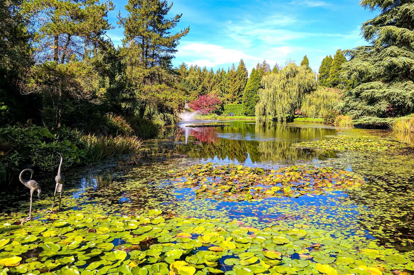 باغ گیاه شناسی وان دوسن - VanDusen Botanical Garden