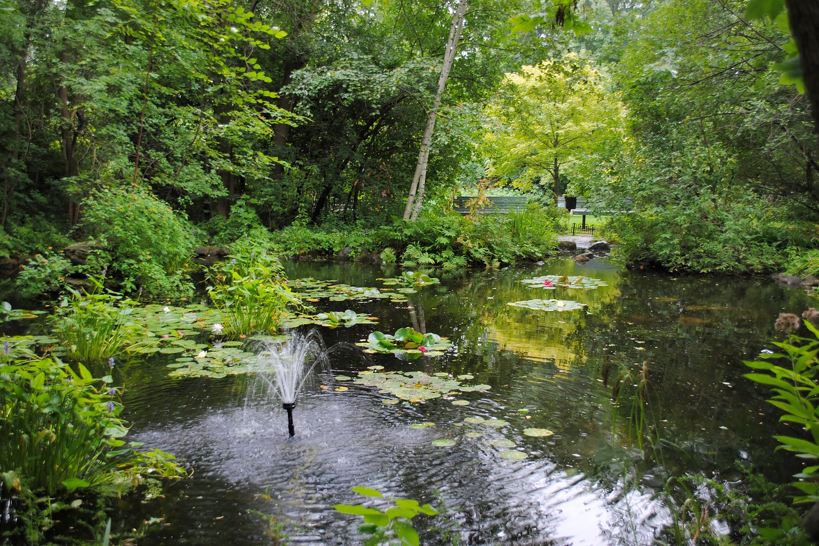 پارک طبیعی Bois-de-Liesse - Bois-de-Liesse Nature Park