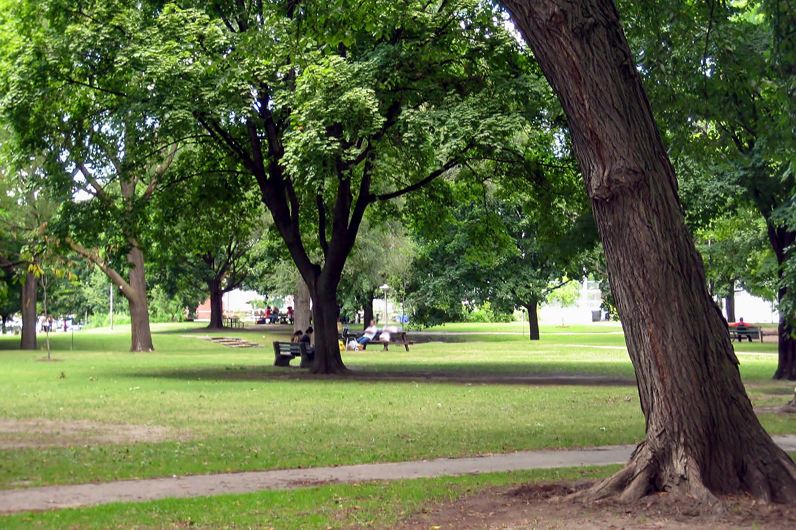 پارک دافرین گروو - Dufferin Grove Park