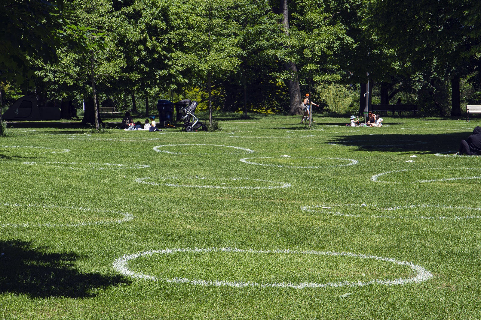 پارک ترینیتی بلوودز - Trinity Bellwoods Park