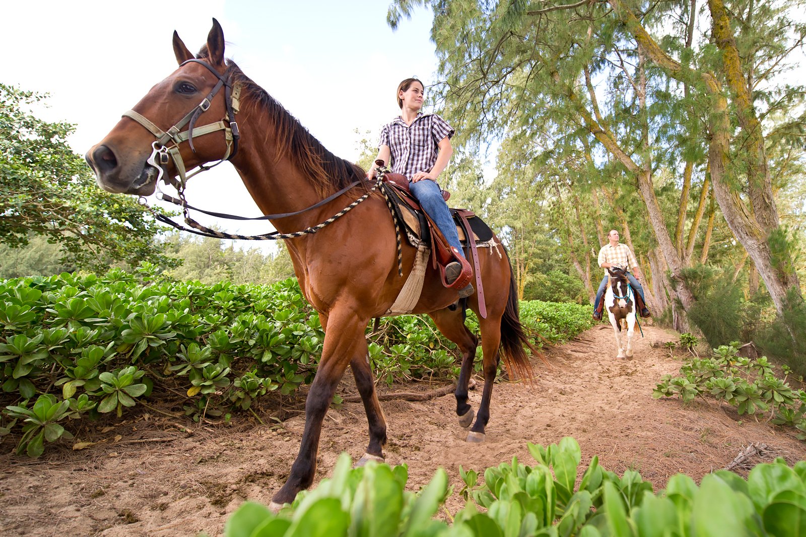 سوار بر اسب - Ride horseback