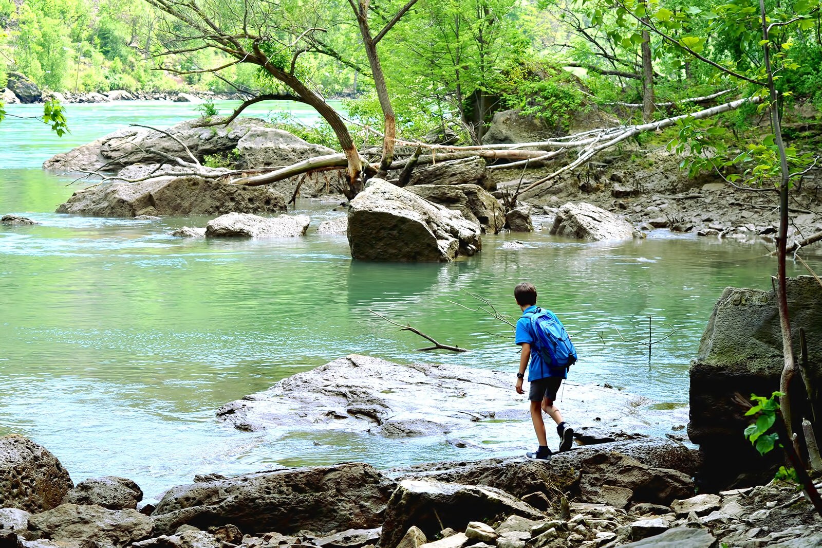 ذخیره‌گاه طبیعی نیاگارا گلن - Niagara Glen Nature Reserve