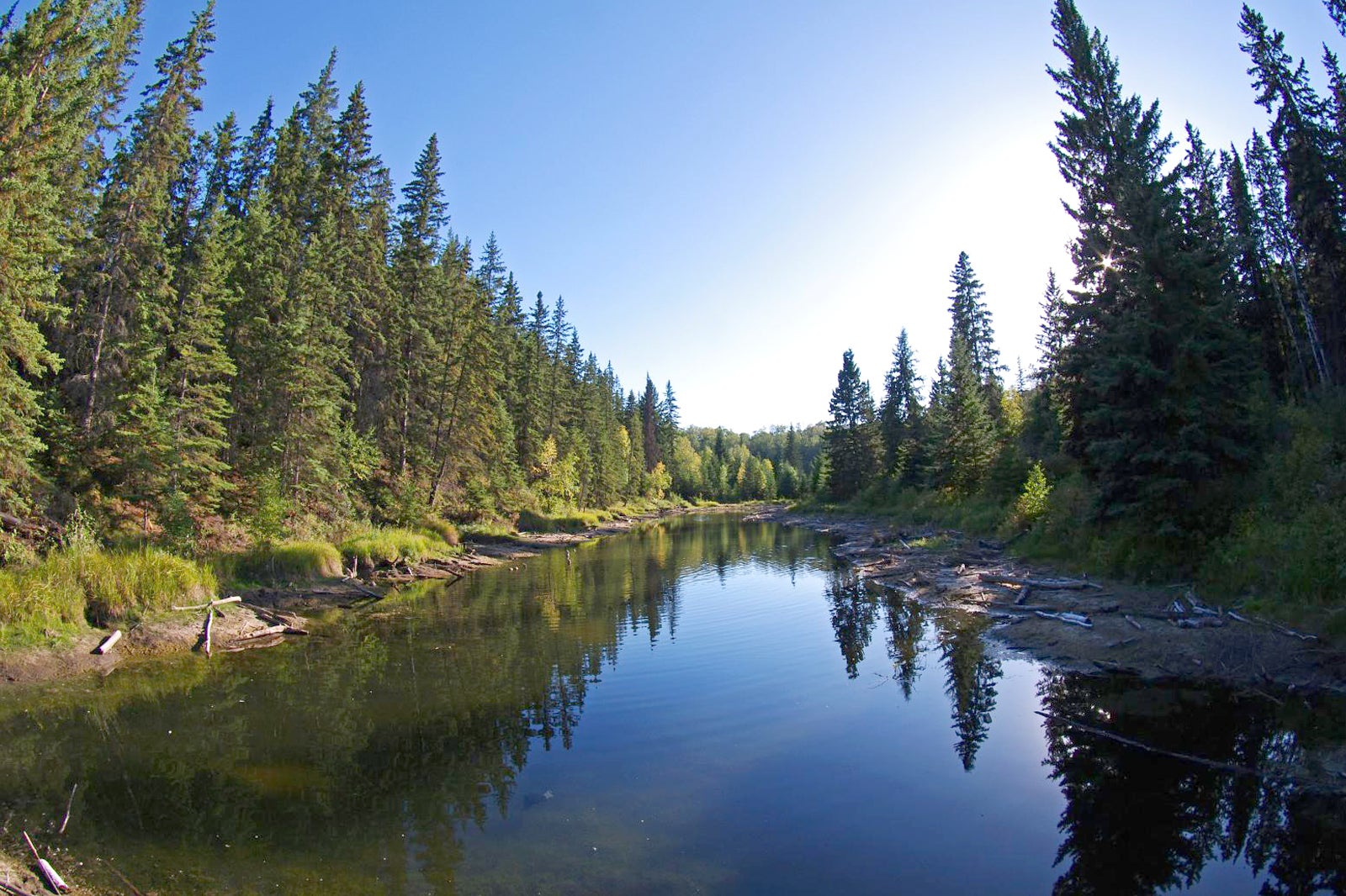 پناهگاه مکتاگارت - Mactaggart Sanctuary