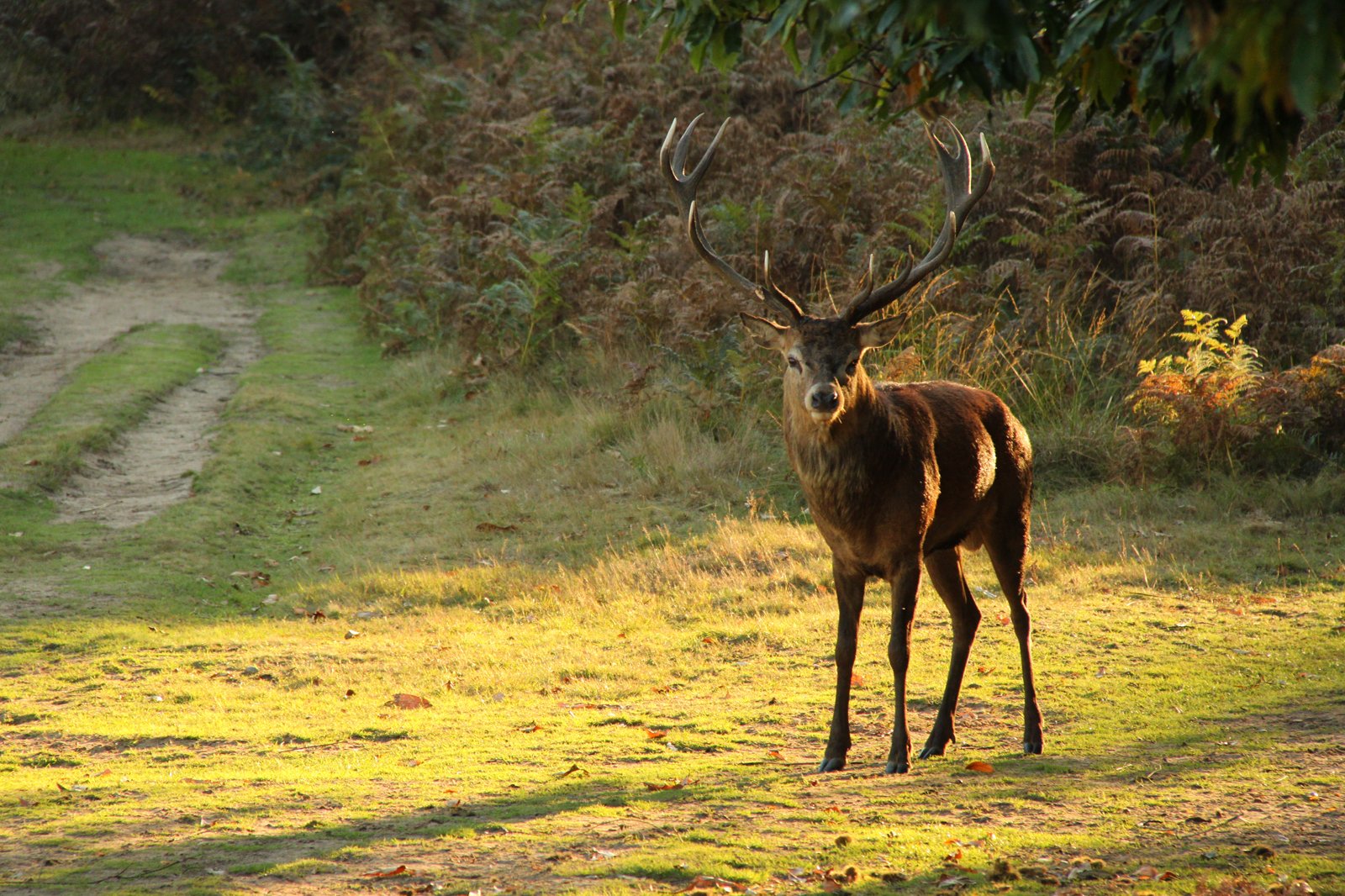 پارک طبیعی ریچموند - Richmond Nature Park