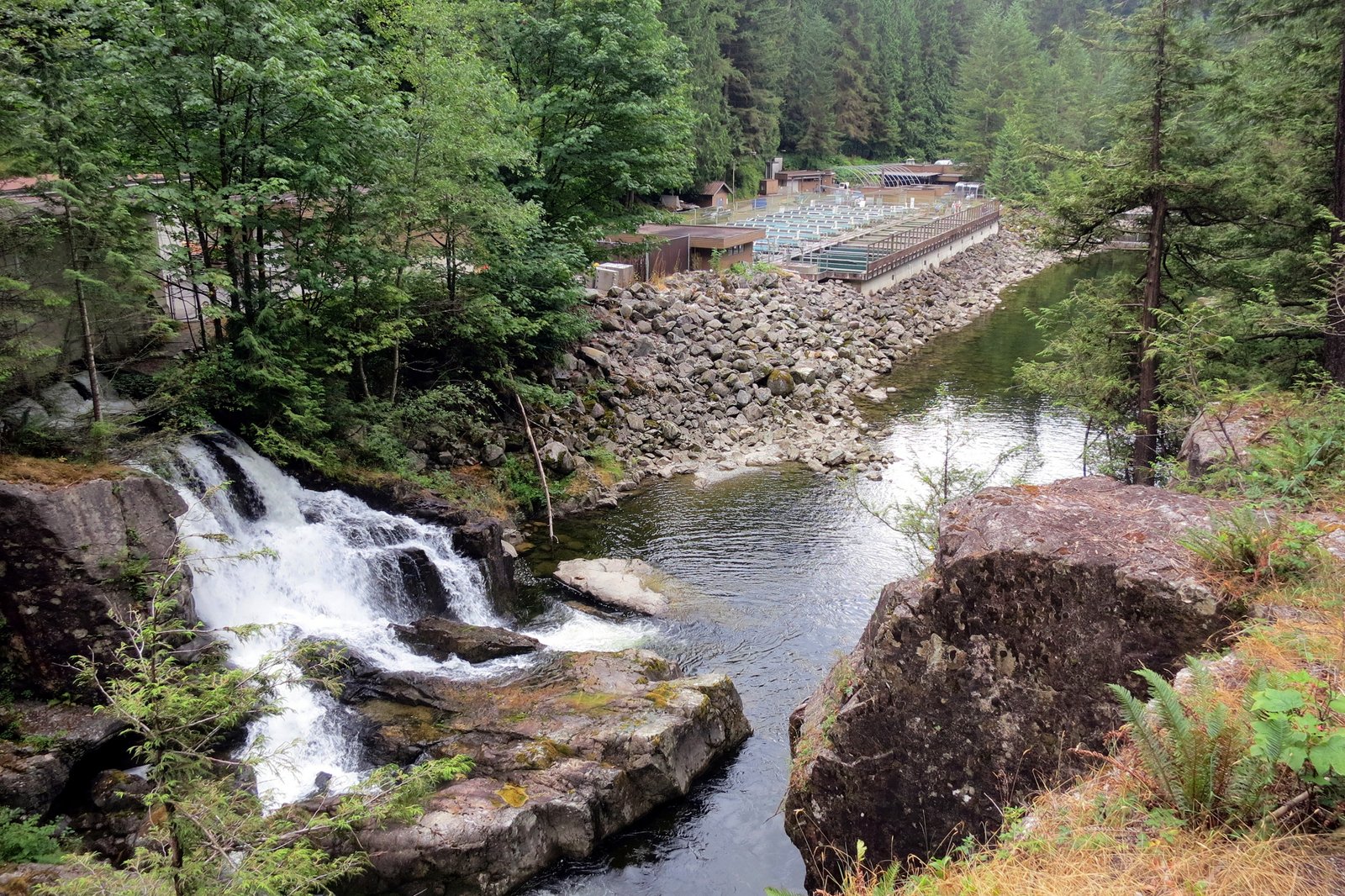 جوجه کشی رودخانه کاپیلانو - Capilano River Hatchery