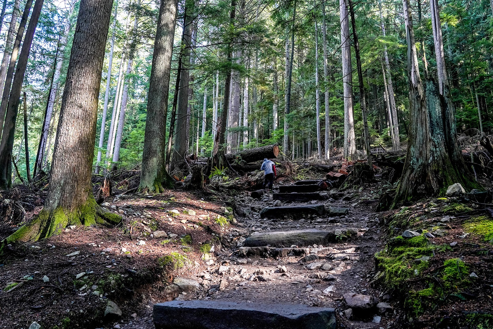 گروس گرند تریل - Grouse Grind Trail