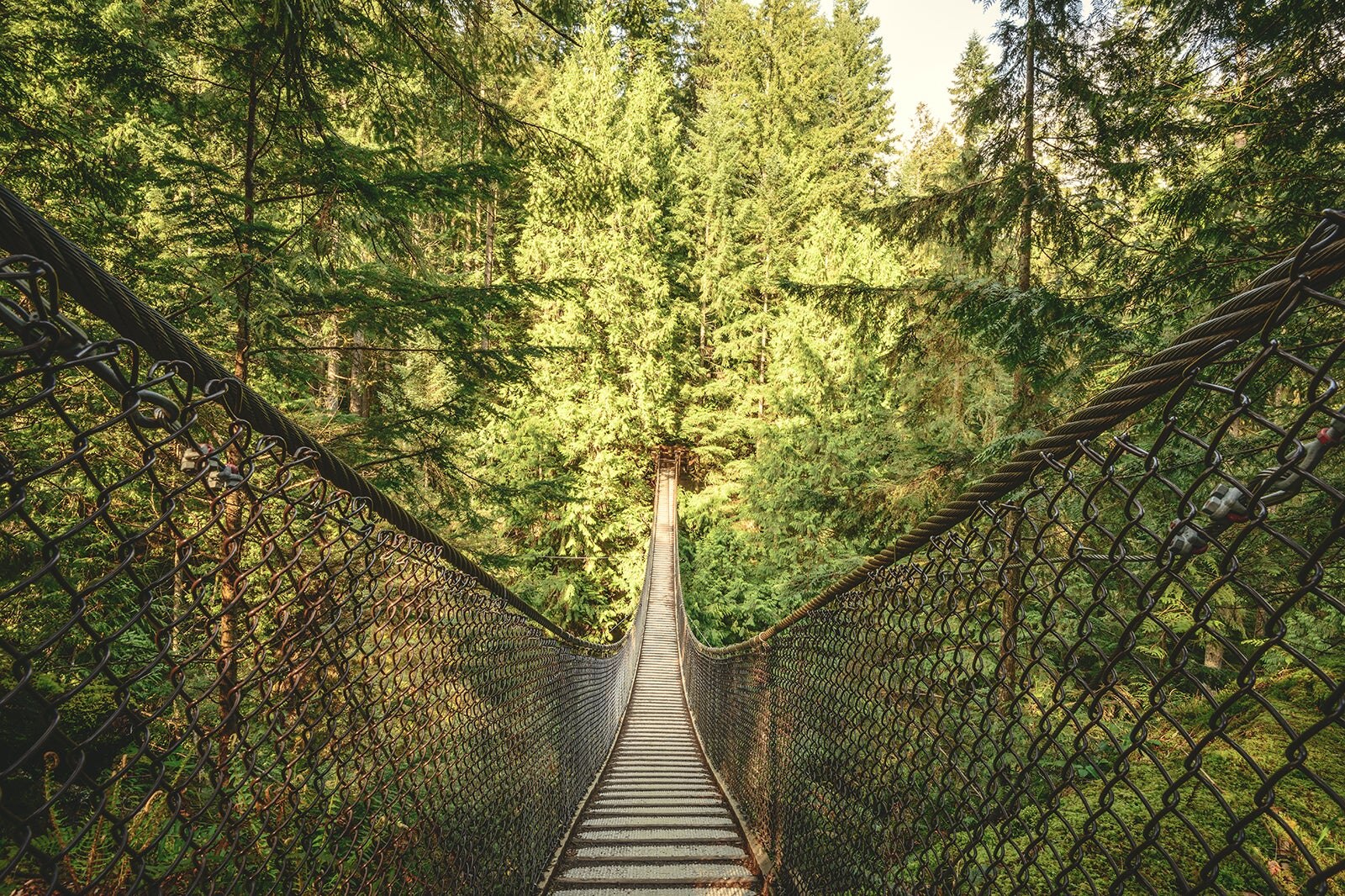 پل لین کنیون - Lynn Canyon Bridge