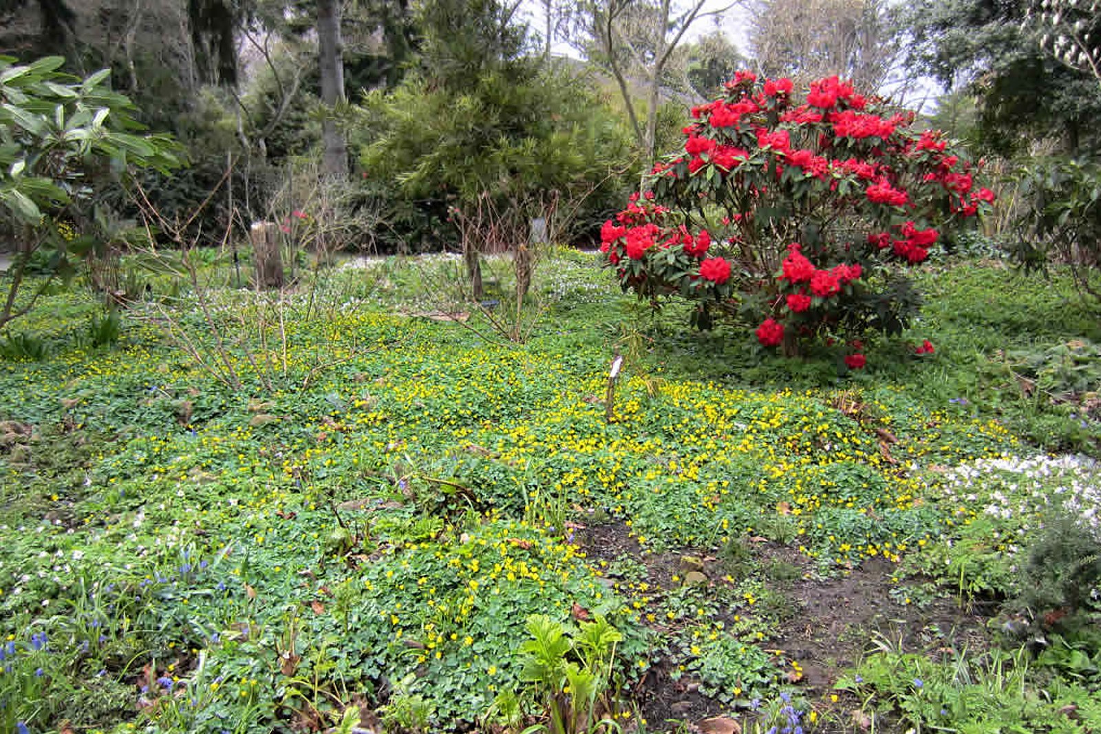 باغ فینرتی - Finnerty Gardens