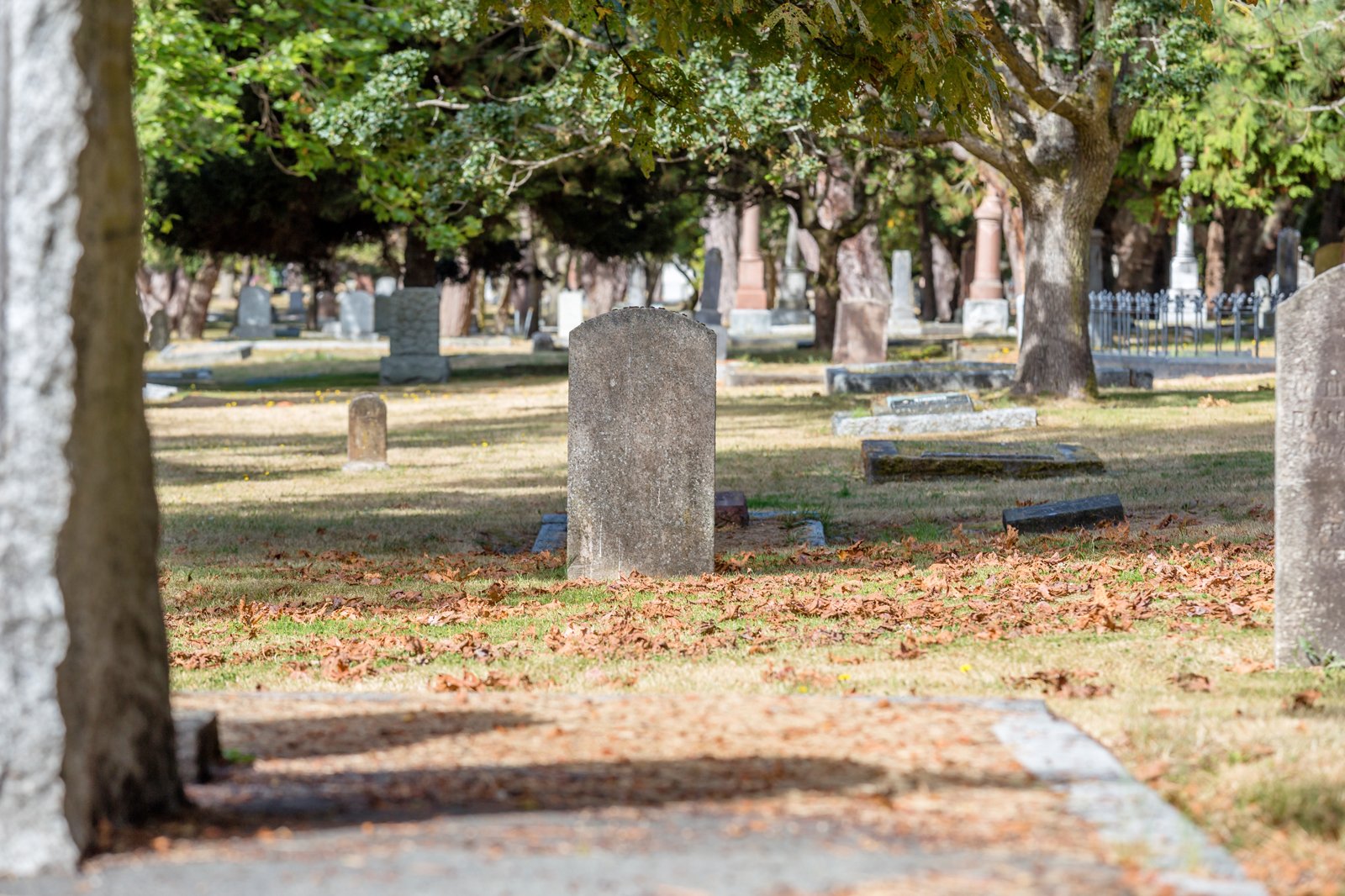 قبرستان راس بی - Ross Bay Cemetery