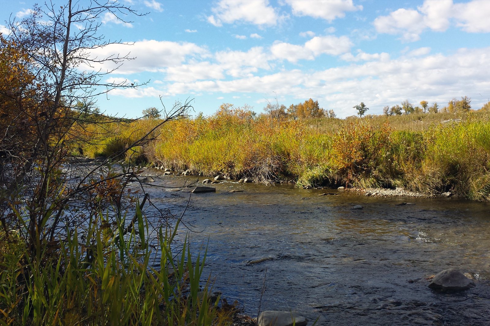 پارک استانی نهر ماهی - Fish Creek Provincial Park