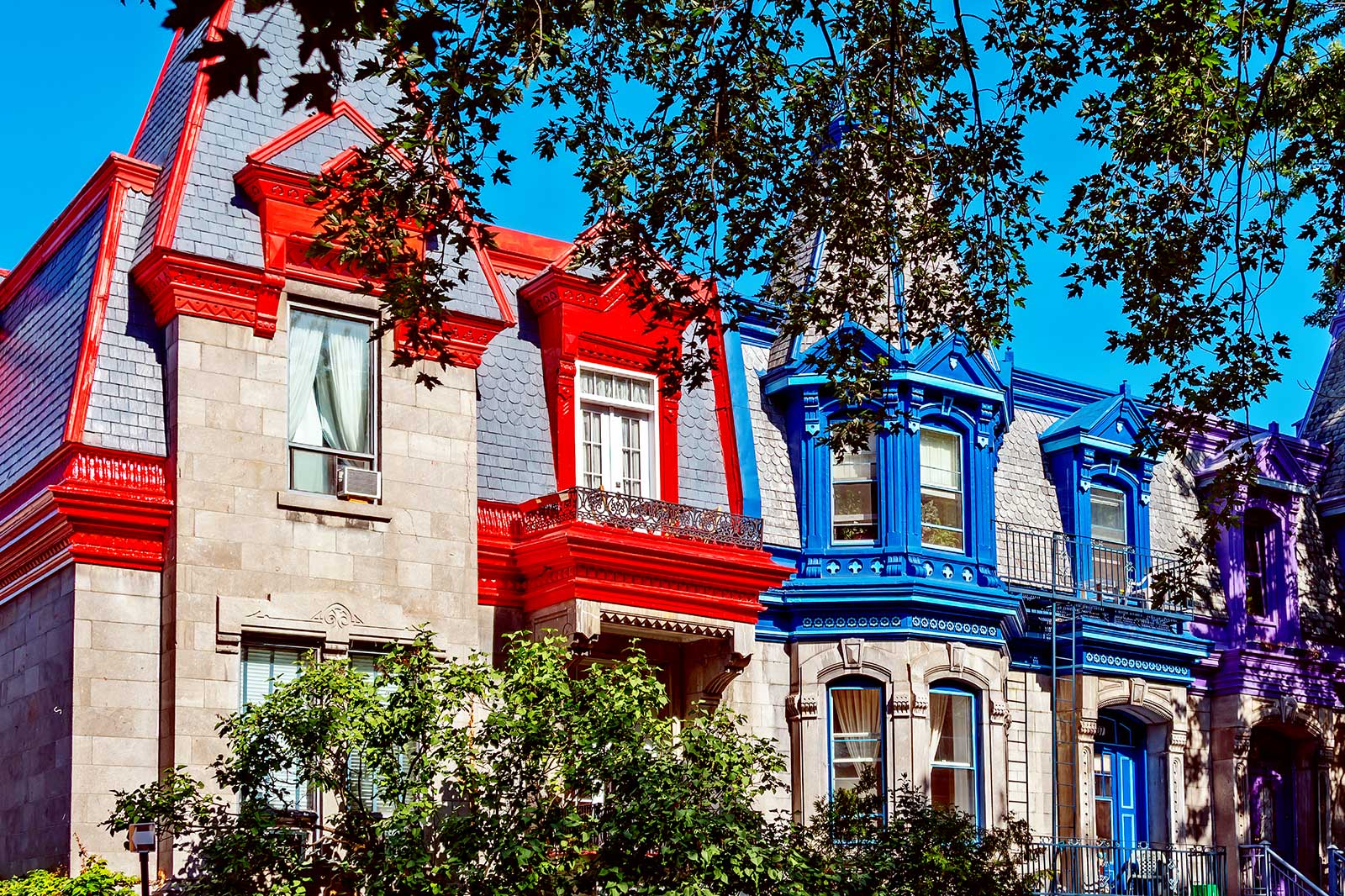 فلات مونت رویال - Plateau Mont-Royal