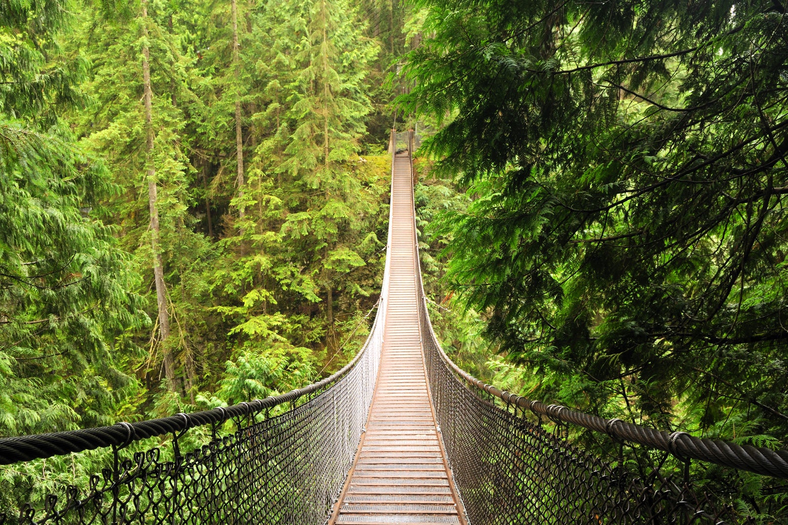 پل معلق لین کانیون - Lynn Canyon Suspension Bridge