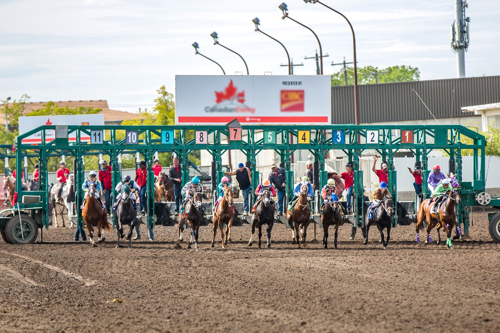 در Northlands Park روی یک اسب مسابقه شرط بندی کنید - Bet on a race horse at Northlands Park