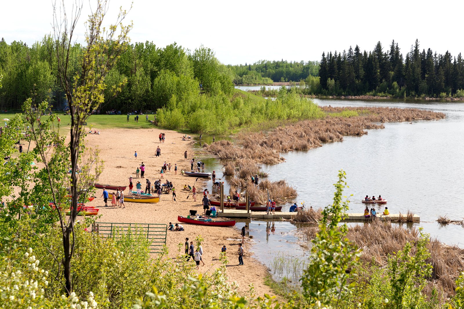 در پارک ملی جزیره الک پیاده روی کنید - Hike through Elk Island National Park