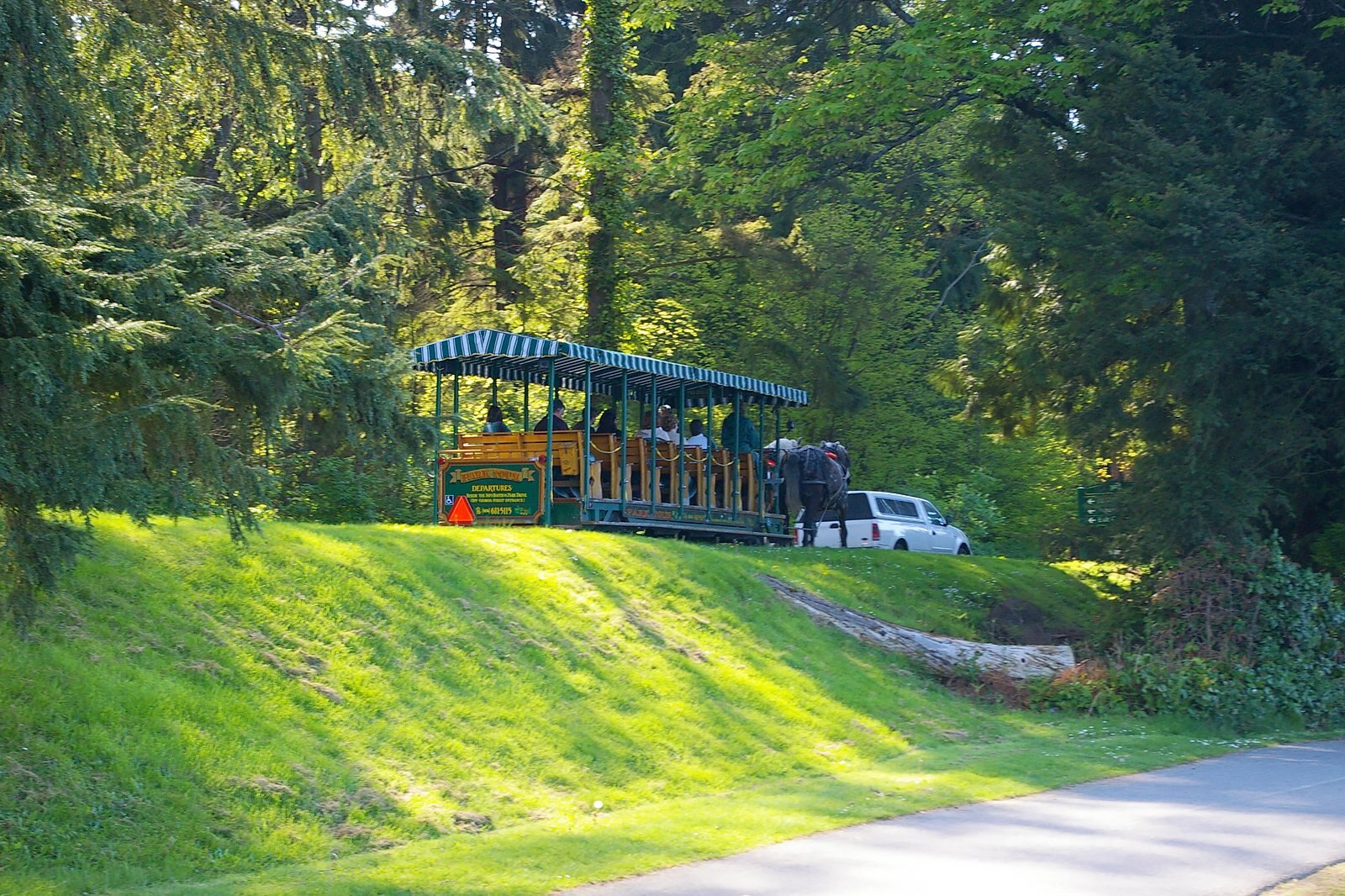 در پارک استنلی سوار کالسکه اسب شوید - Ride a horse-drawn carriage in Stanley Park