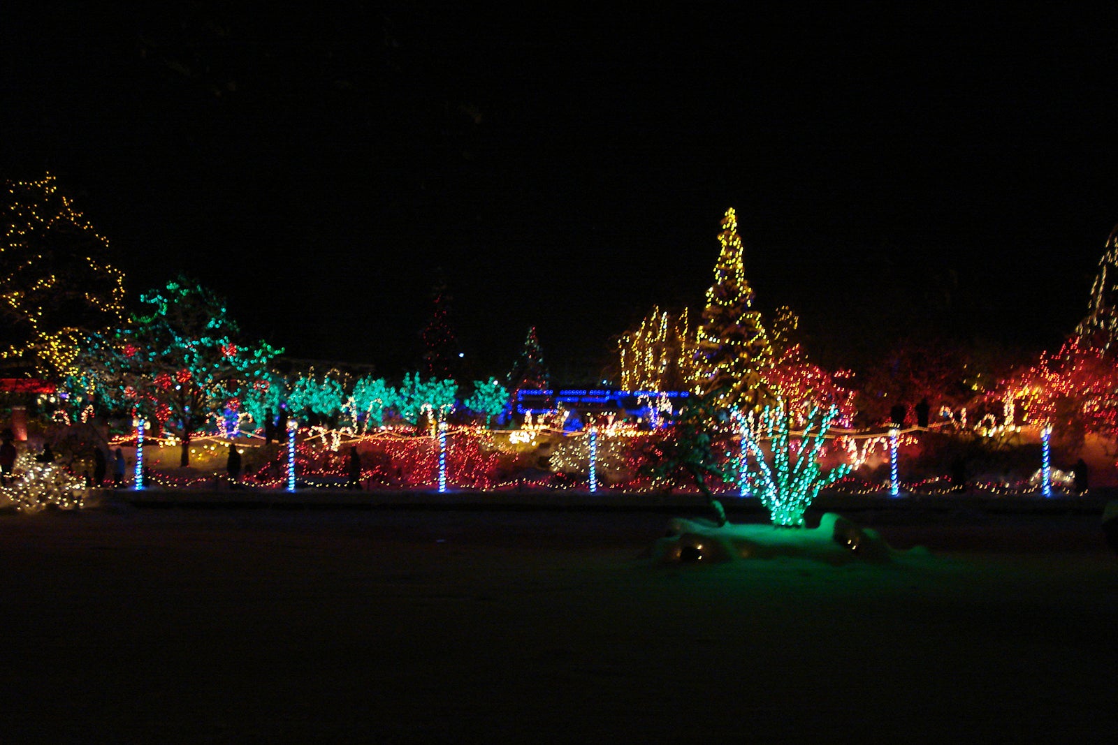 از جشنواره نورها در باغ گیاه شناسی VanDusen دیدن کنید - Visit the Festival of Lights at VanDusen Botanical Gardens