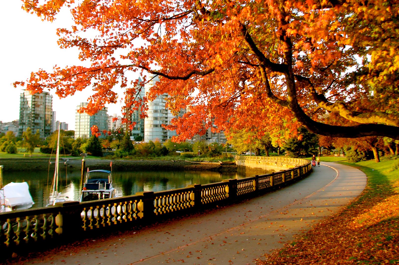 پاییز: پیاده روی و دوچرخه سواری در پارک استنلی - AUTUMN: Hiking and biking through Stanley Park