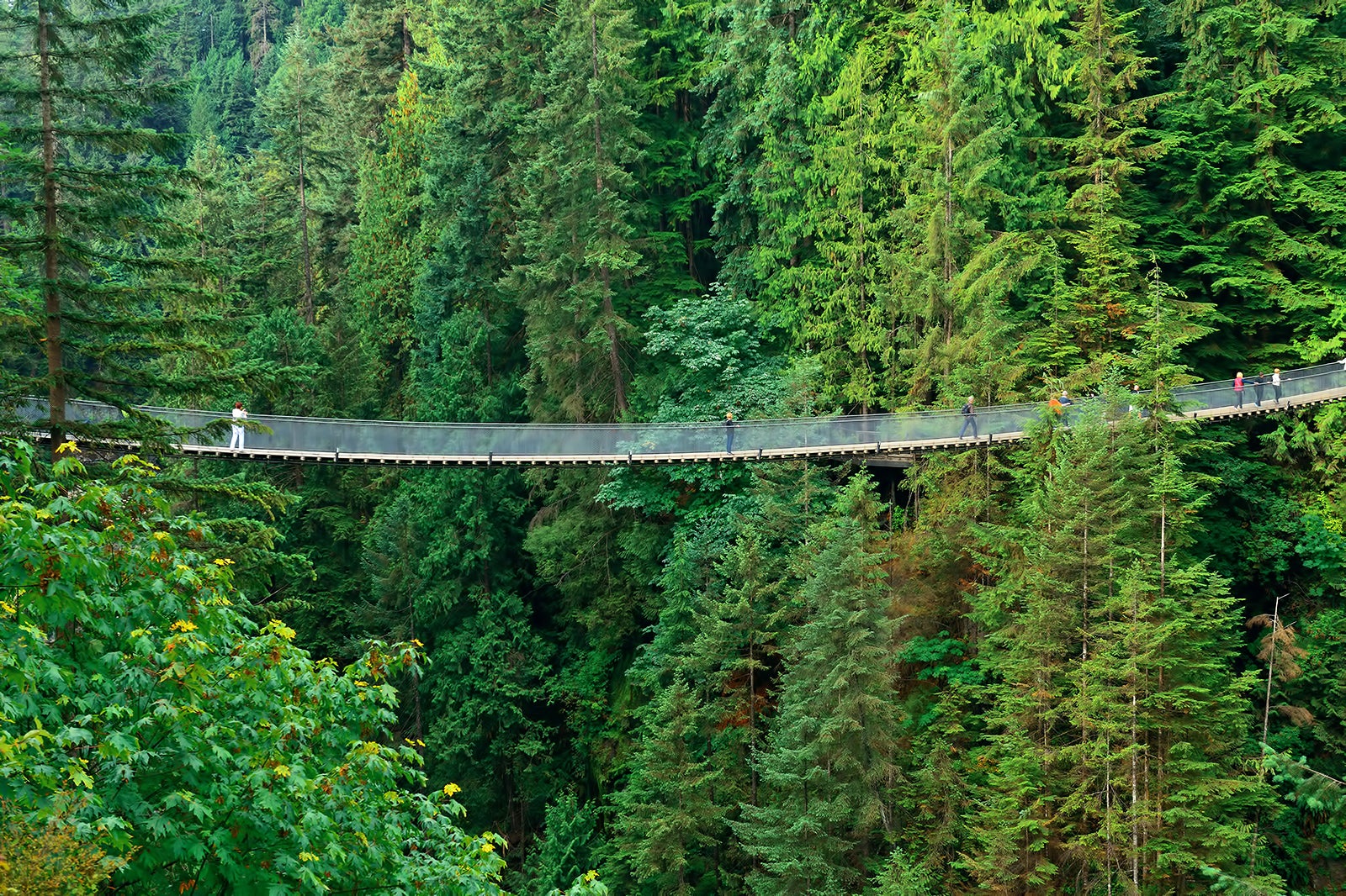 بهار: پیاده روی پل معلق کاپیلانو - SPRING: Walking the Capilano Suspension Bridge