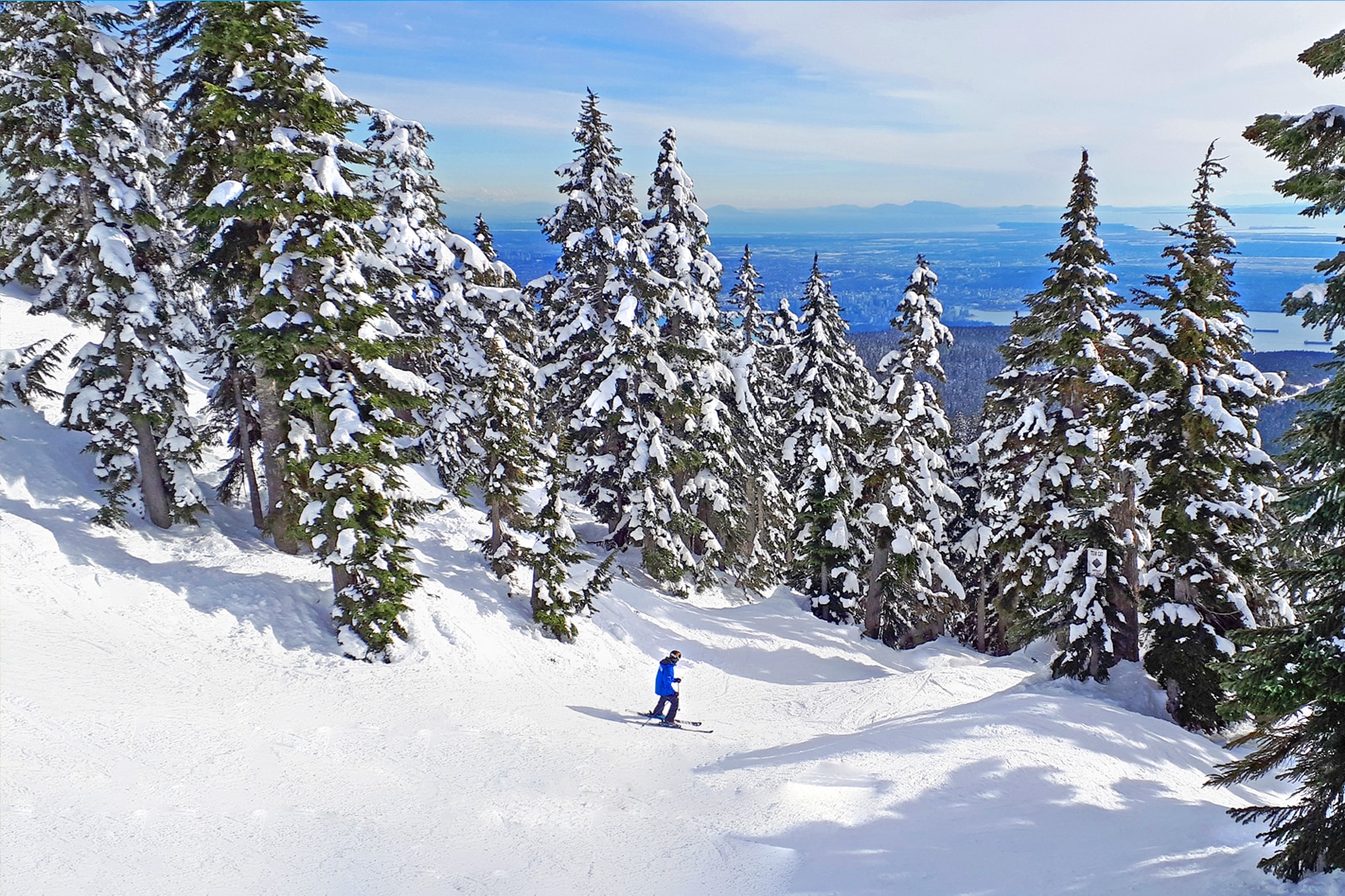 زمستان: اسکی یا اسنوبورد در کوه سرو - WINTER: Skiing or snowboarding at Cypress Mountain