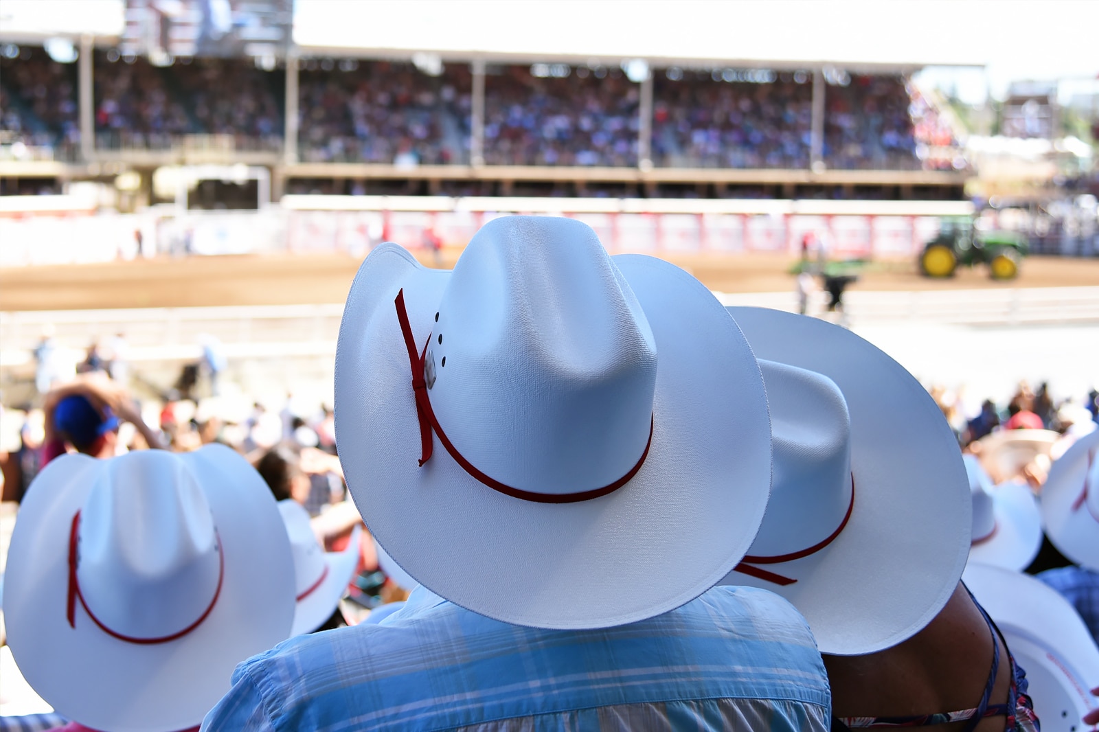 ازدحام کلگری - Calgary Stampede