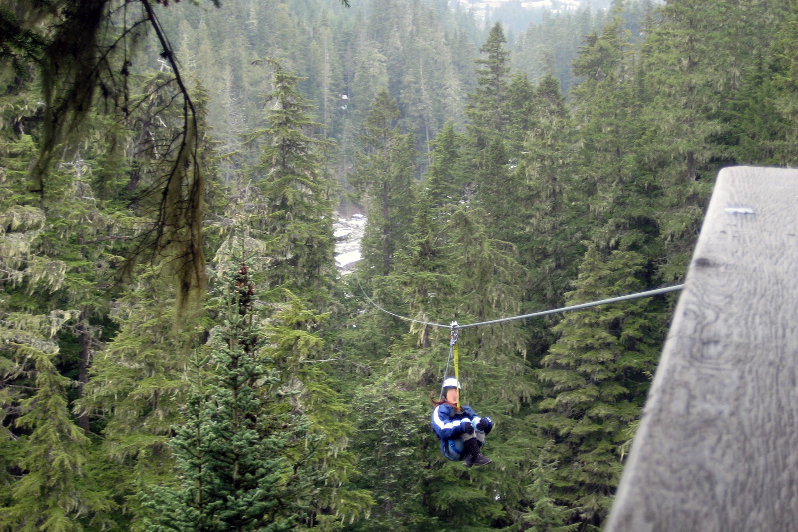 زیپ لاین از میان درختان - Zipline through the trees