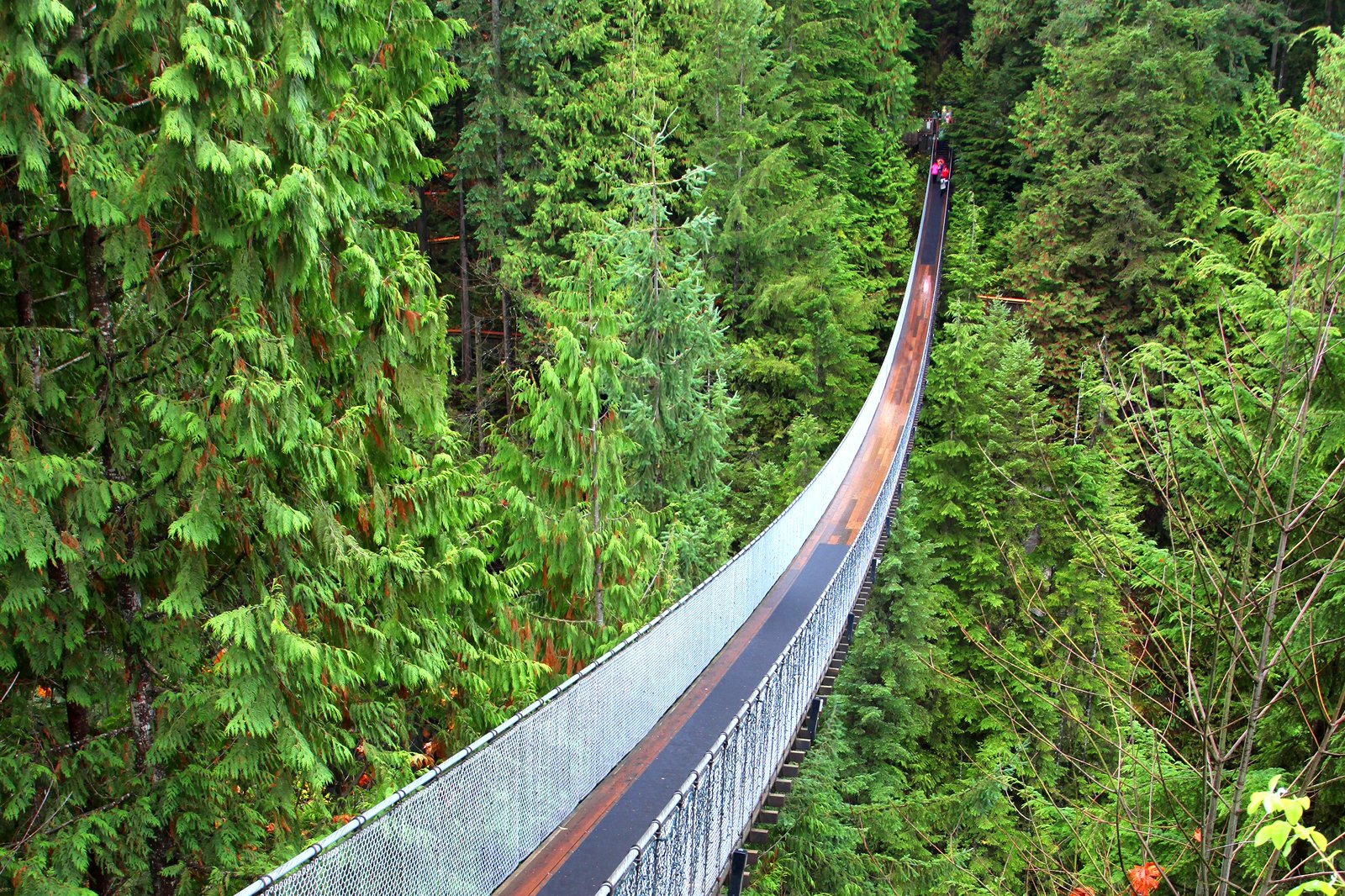 از پل معلق کاپیلانو عبور کنید - Cross the Capilano Suspension Bridge