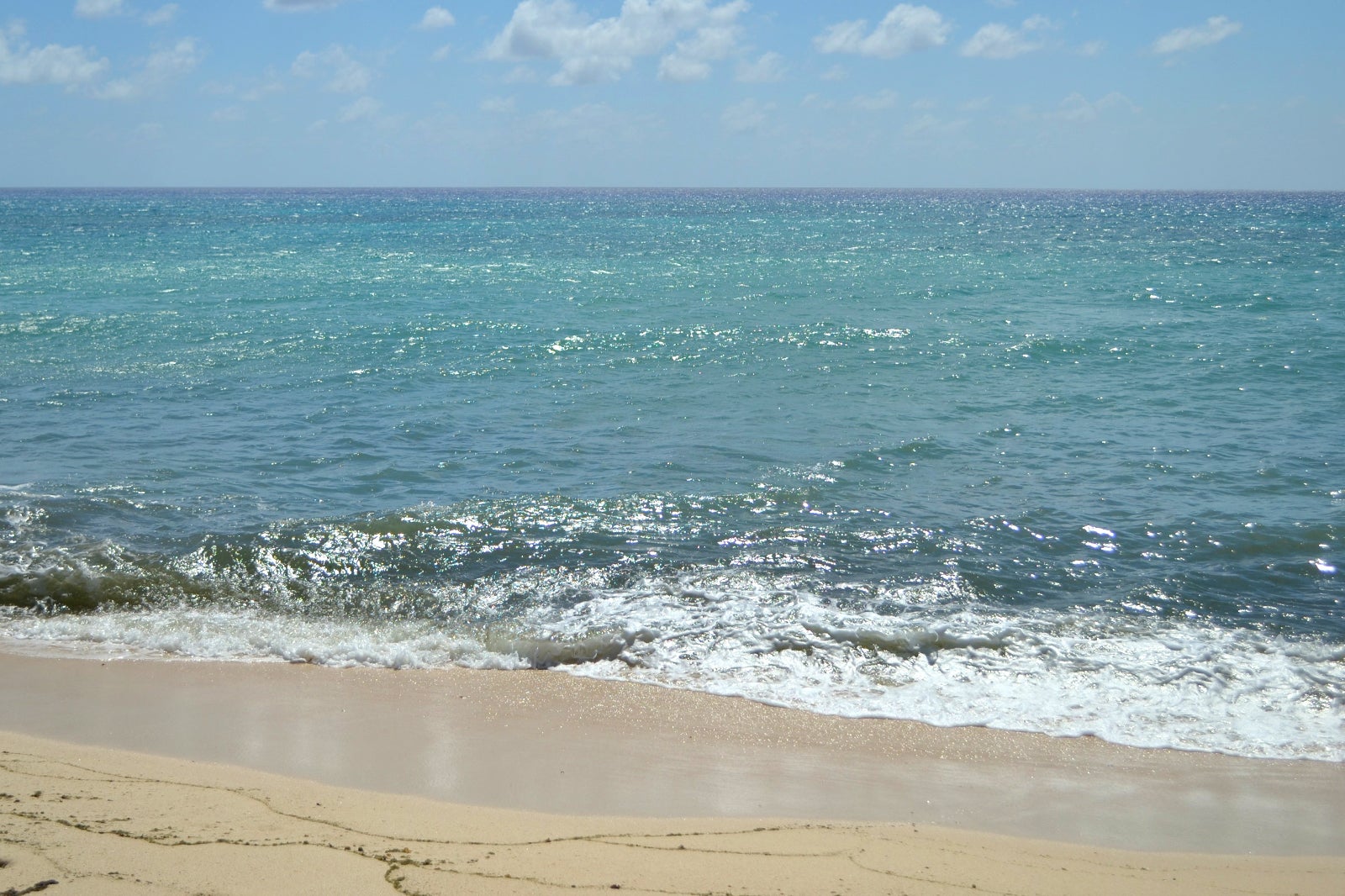 ساحل قلعه کلارنس - Fort Clarence Beach