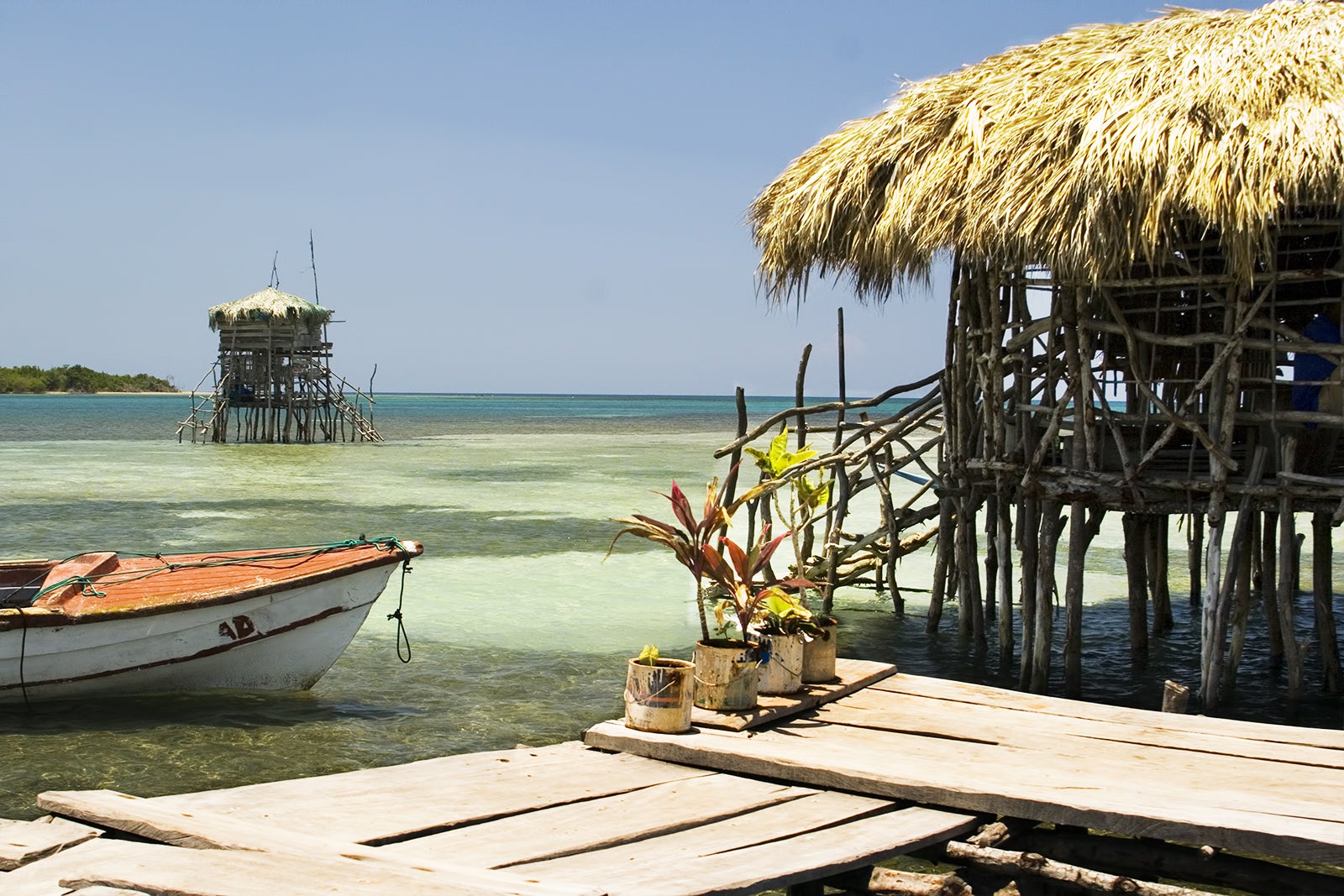 نوار پلیکان فلوید - Floyd’s Pelican Bar