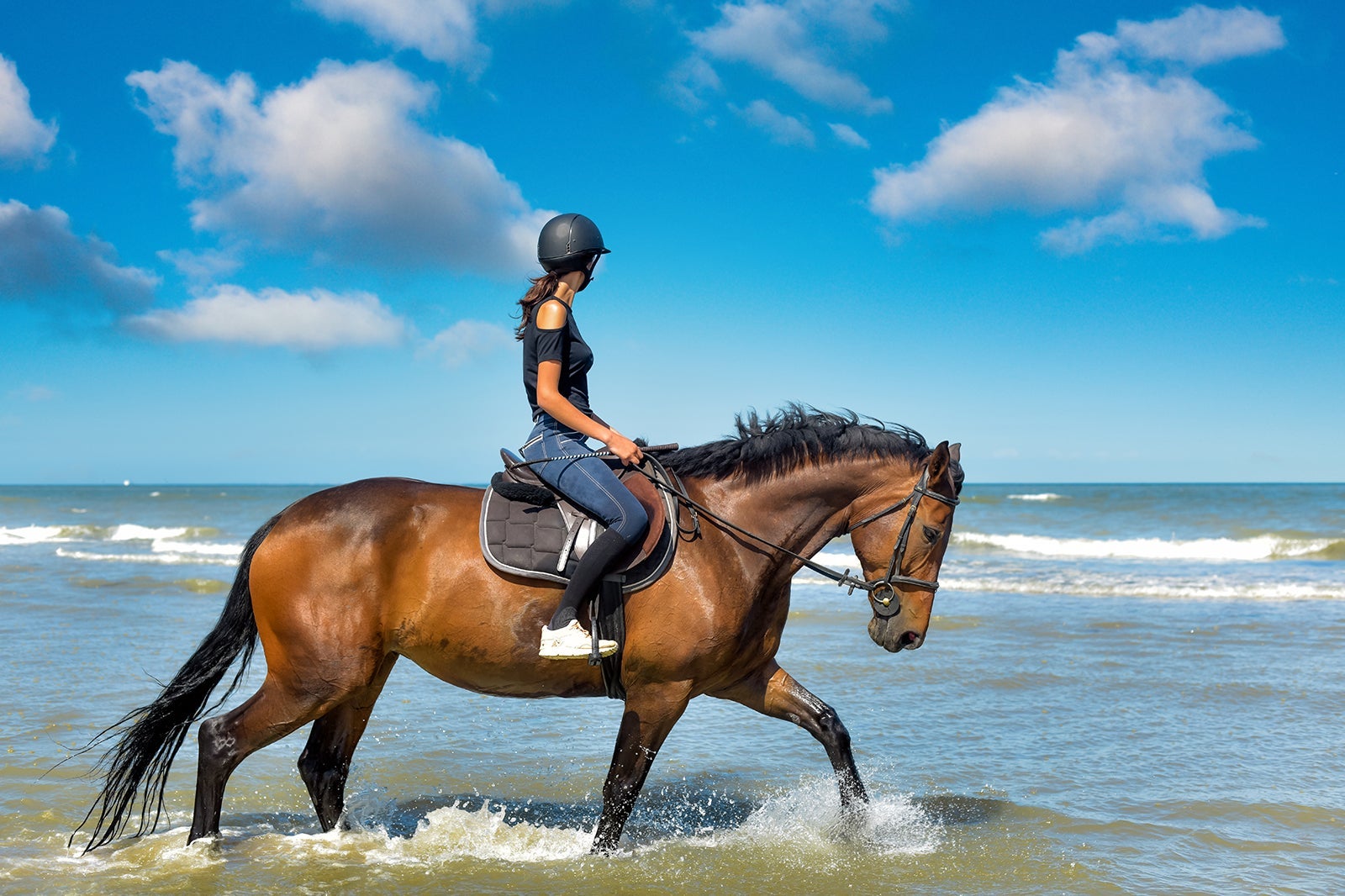 اصطبل سواری سواحل اقیانوس اطلس - Atlantic Shores Riding Stables