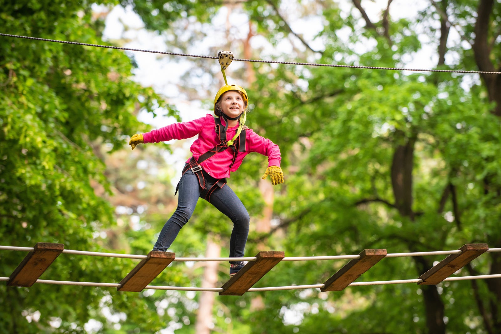 پارک ماجراجویی بالای درخت - Treetop Adventure Park