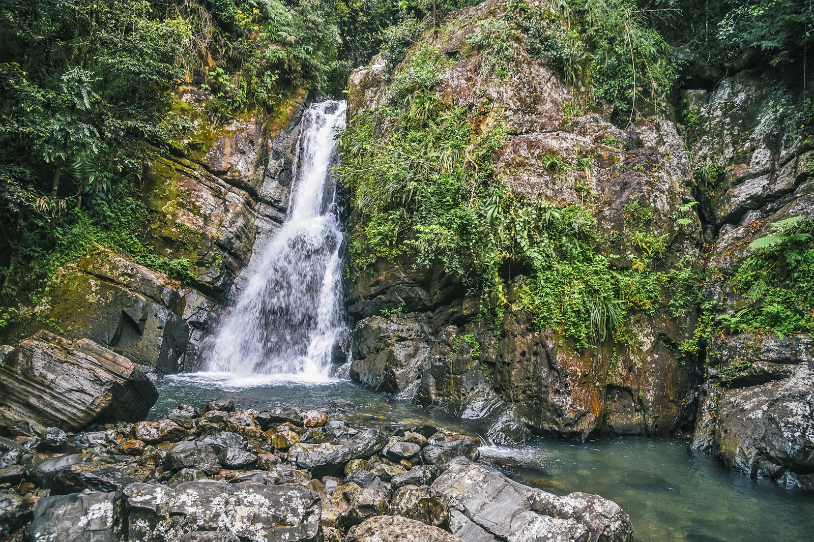 جنگل ملی ال یونکه - El Yunque National Forest