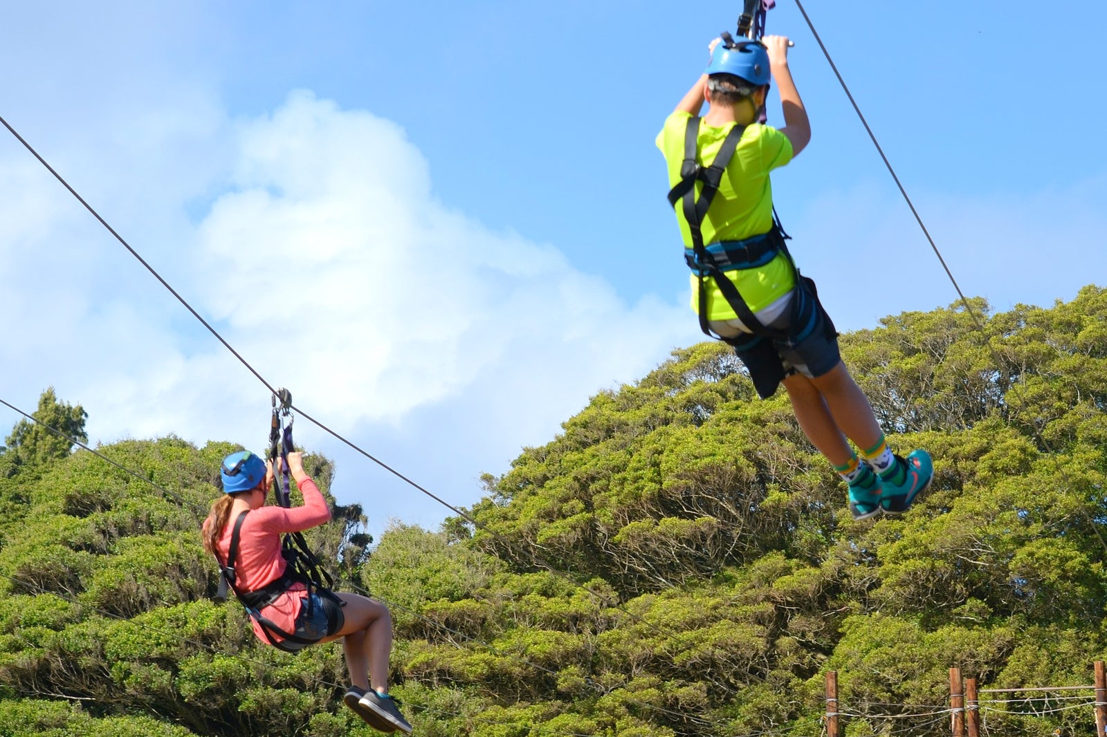 پارک زیپ لاین جنگل های بارانی - Rainforest Zipline Park