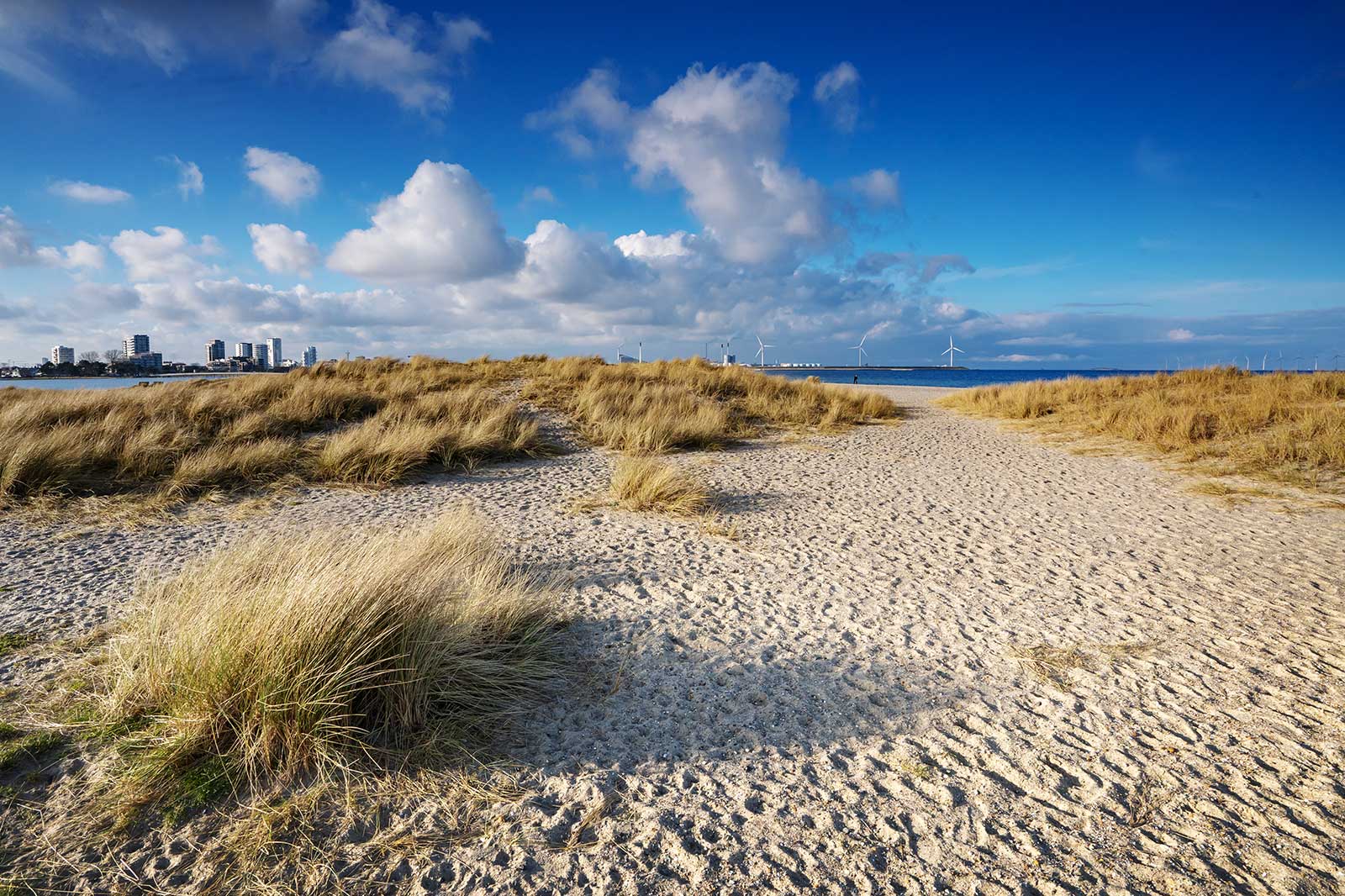 پارک ساحلی آماگر - Amager Beach Park