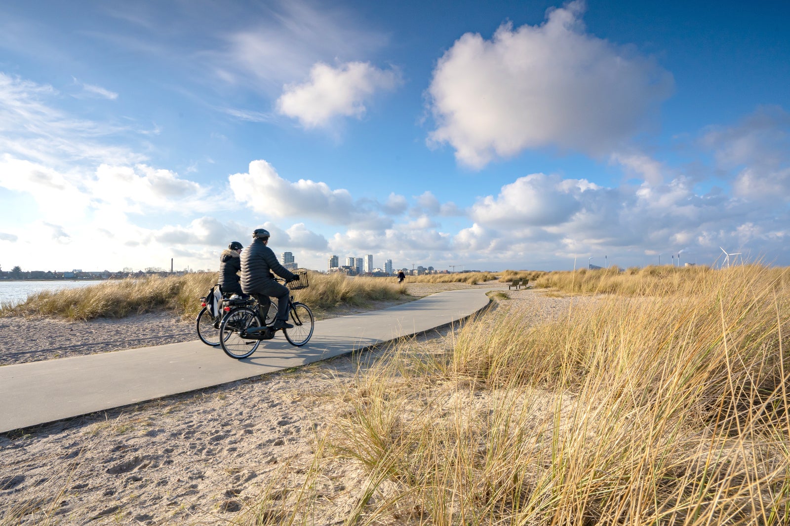 پارک ساحلی آماگر (Amager Strandpark) - Amager Beach Park (Amager Strandpark)