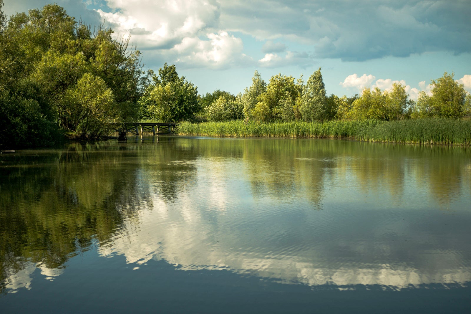 Amager Common (Amager Fælled) - Amager Common (Amager Fælled)