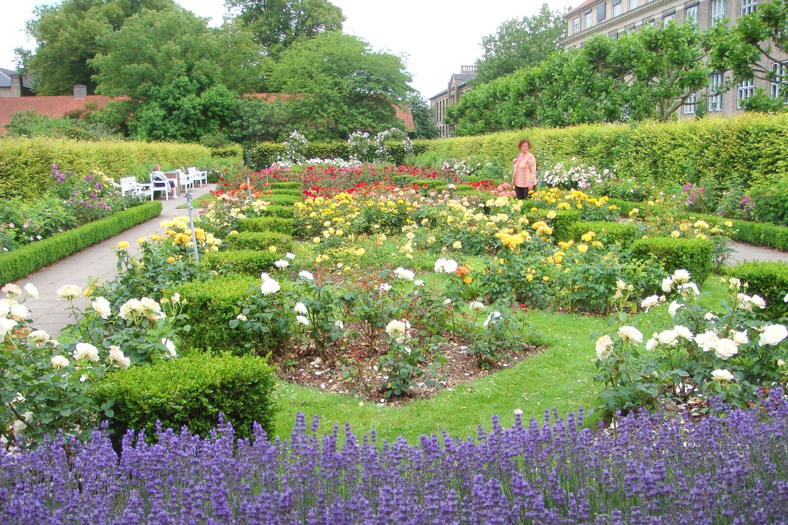 باغ Landbohøjskolen (Landbohøjskolens Have) - Landbohøjskolen’s Garden (Landbohøjskolens Have)