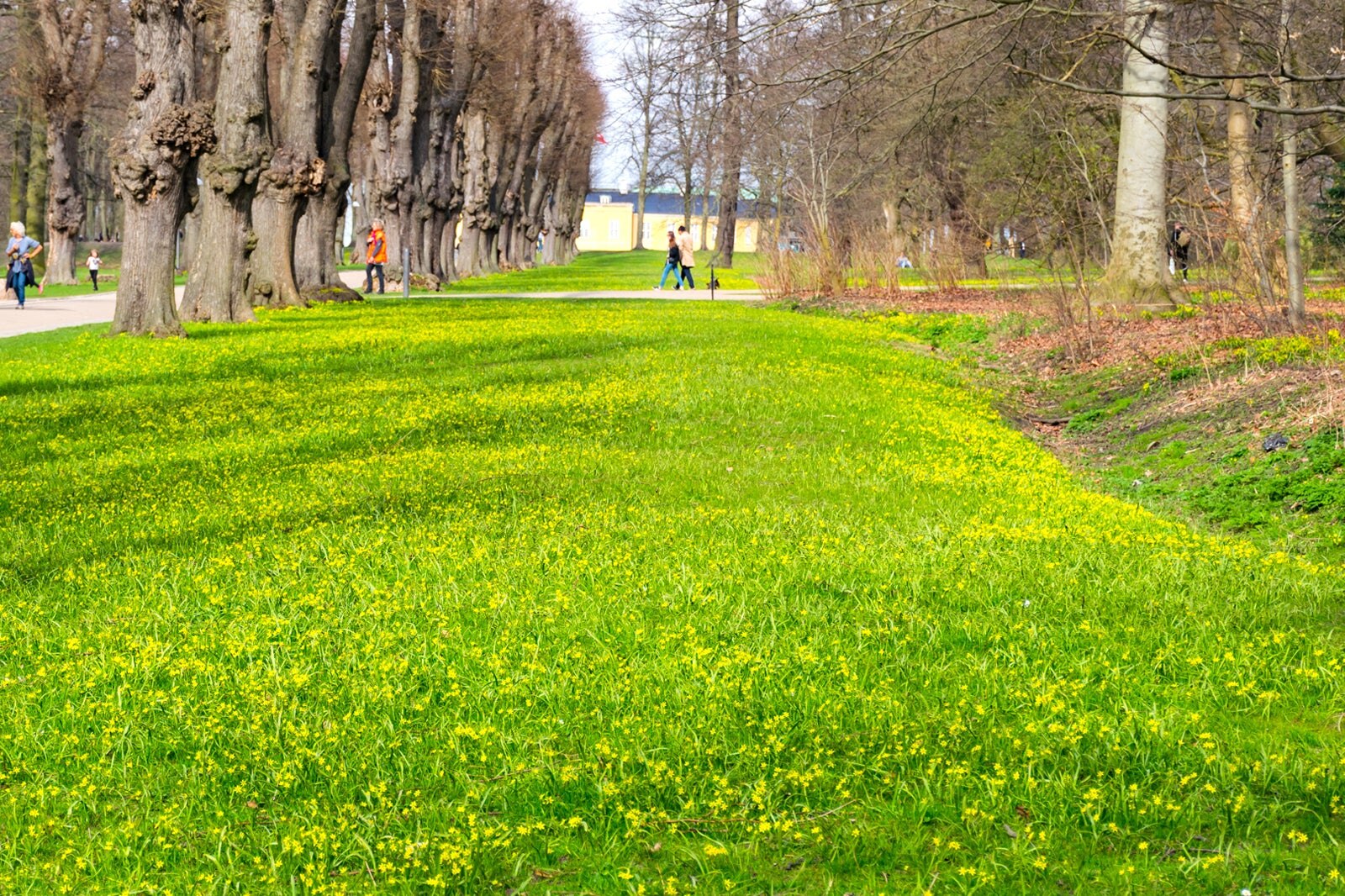 Søndermarken - Søndermarken