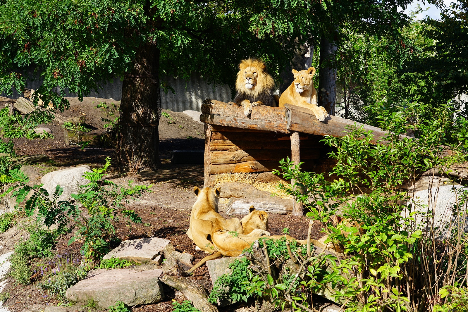 باغ وحش کپنهاگ - Copenhagen Zoo