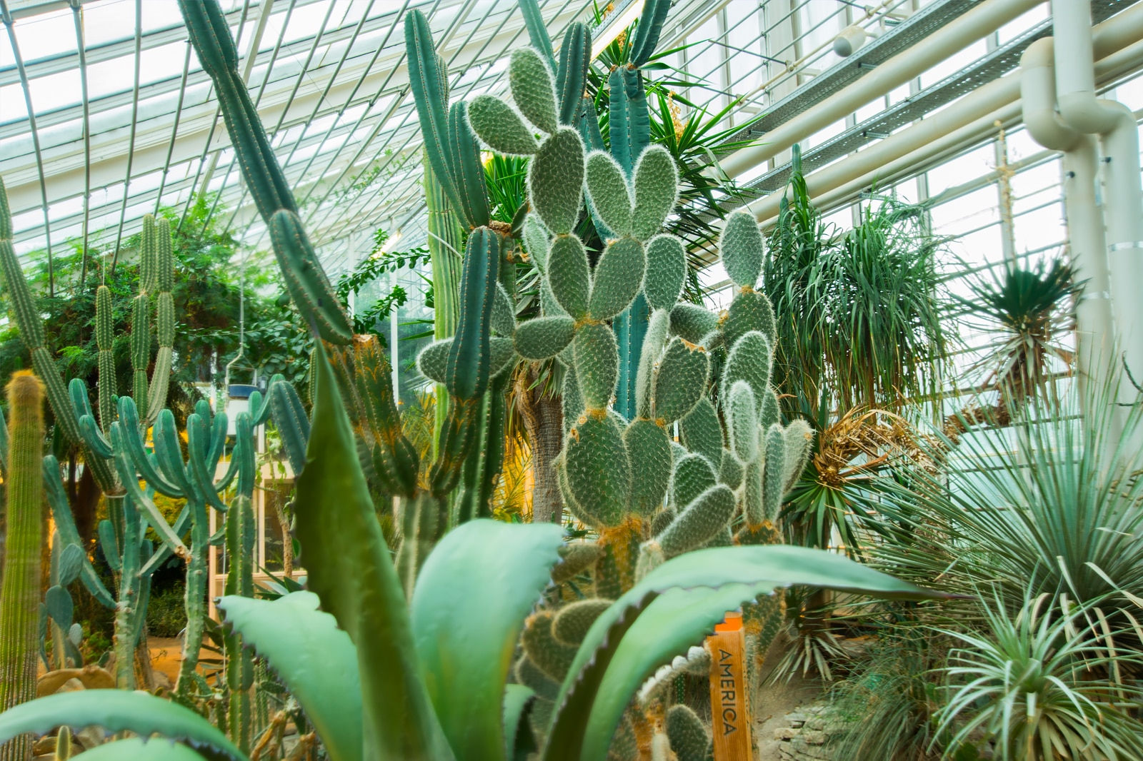 باغ گیاه شناسی آرهوس - Aarhus Botanical Gardens