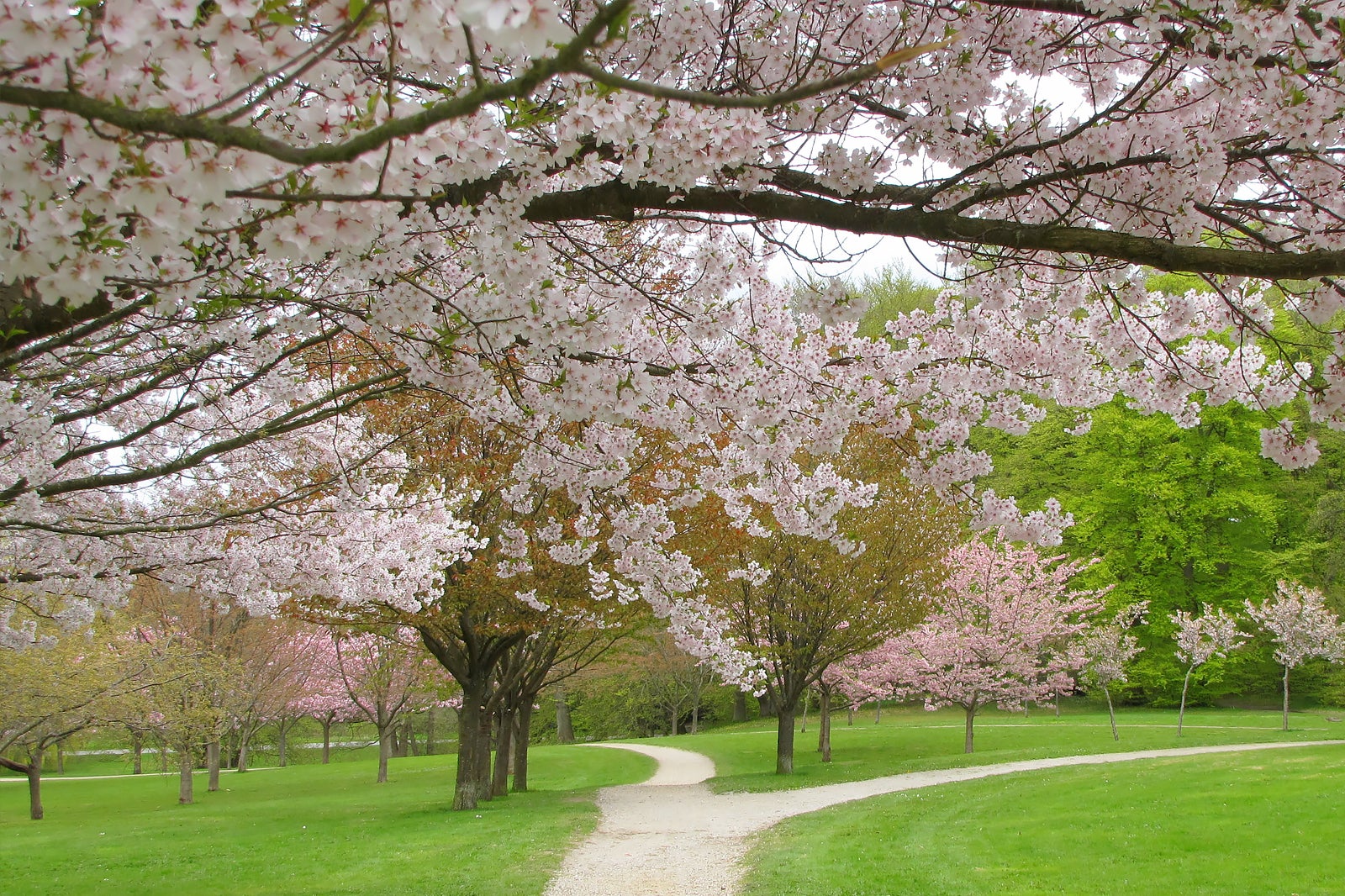 پارک یادبود مارسلیسبورگ - Marselisborg Memorial Park (Mindepark)