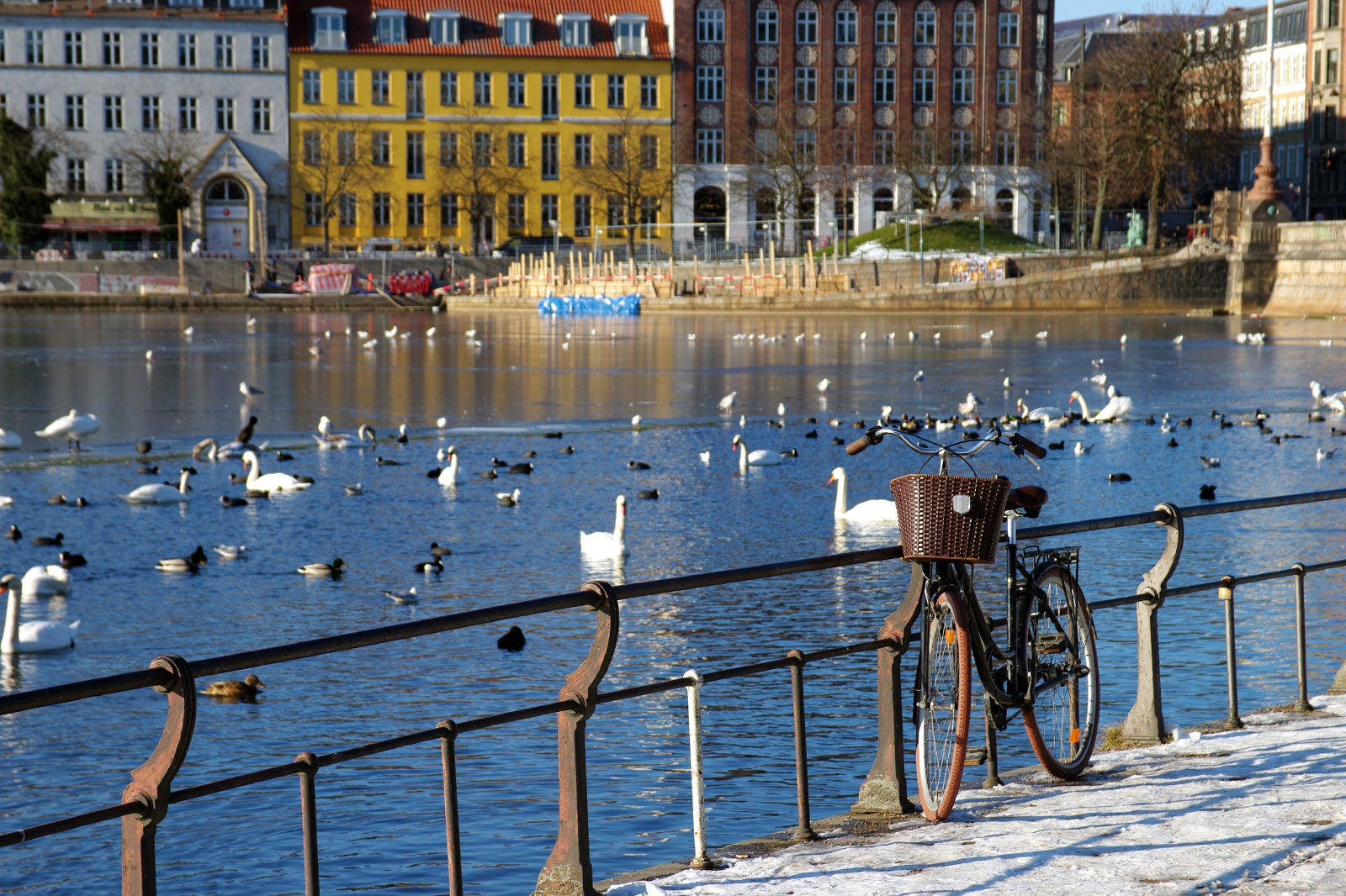 نوربرو - Nørrebro