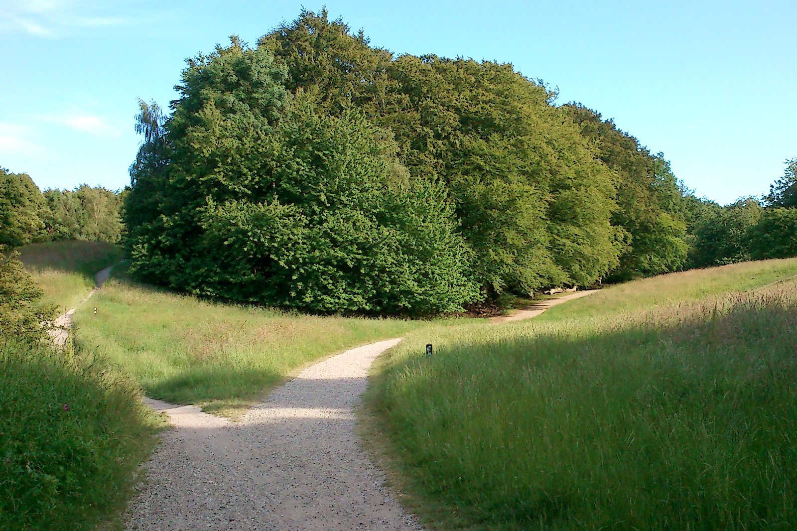 جنگل های مارسلیسبورگ - Marselisborg Forests