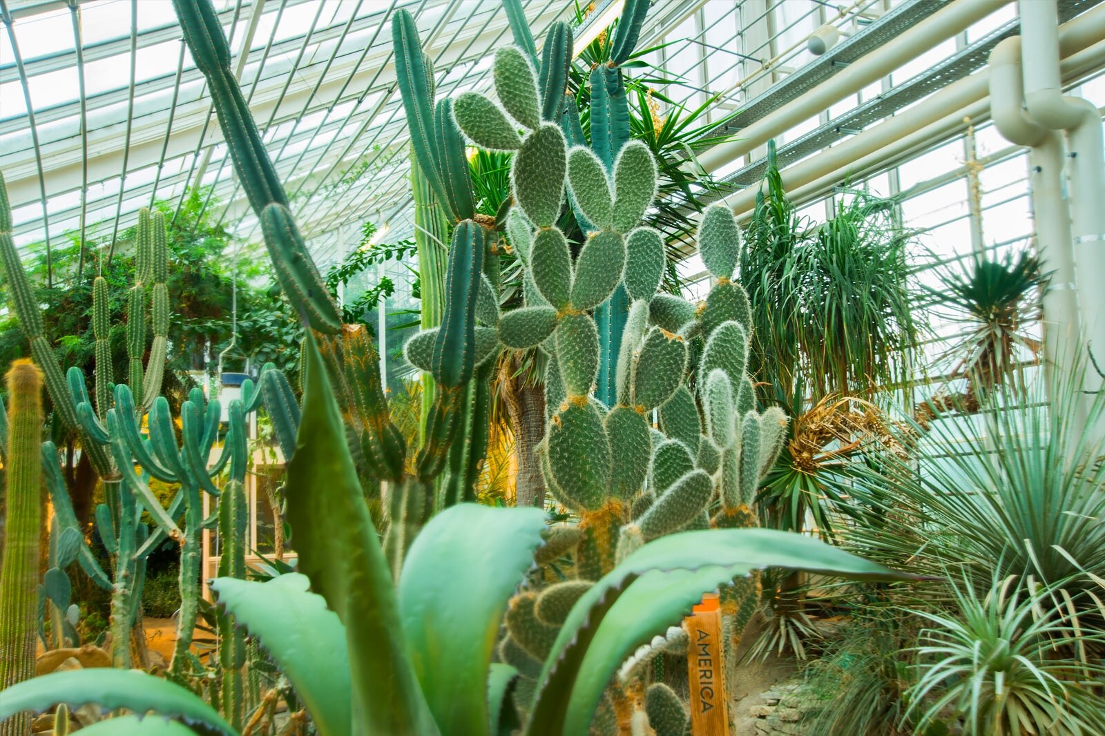 گلخانه ها در باغ گیاه شناسی (Botanisk Have) - The Greenhouses at the Botanical Garden (Botanisk Have)