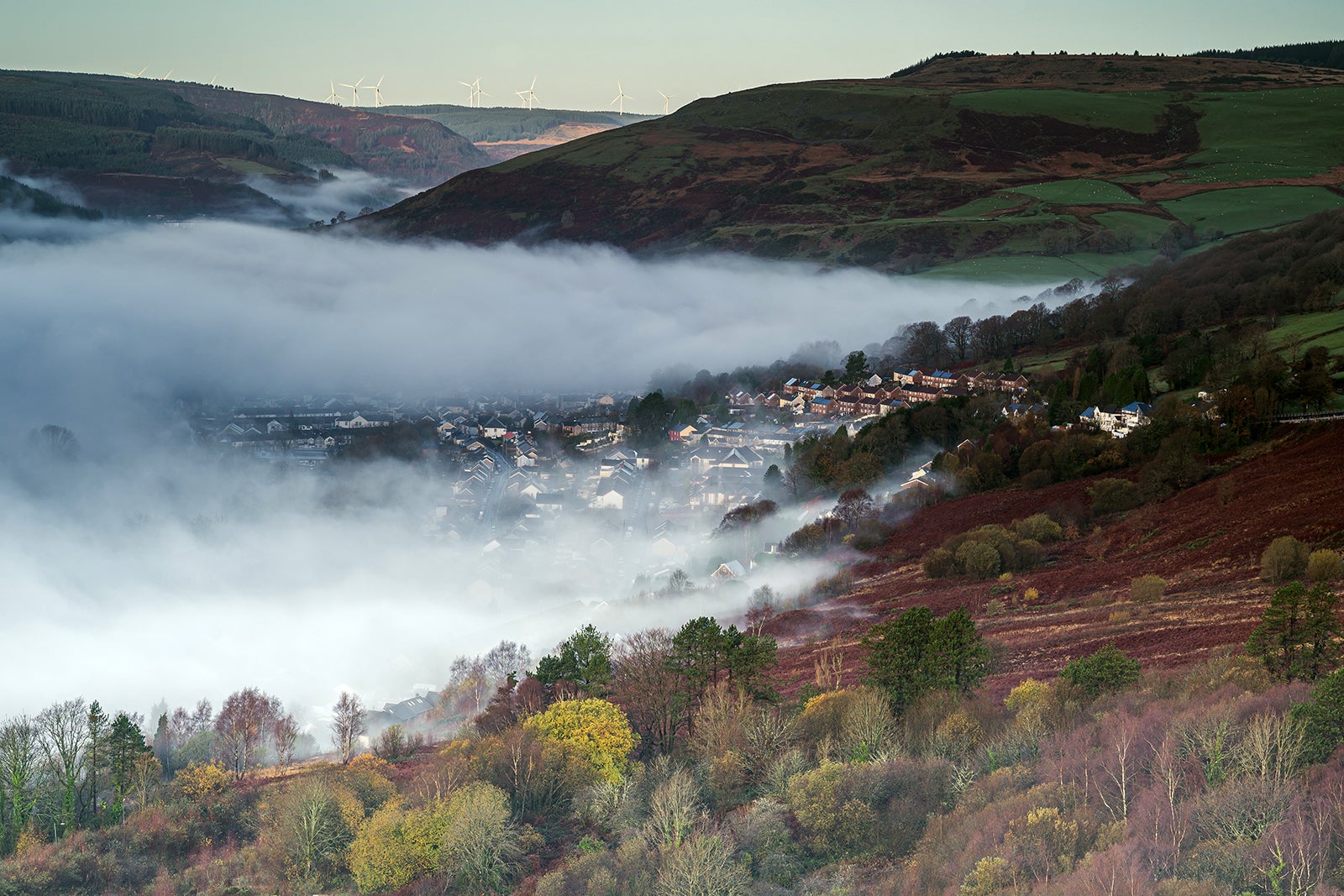 راندا فاور - Rhondda Fawr