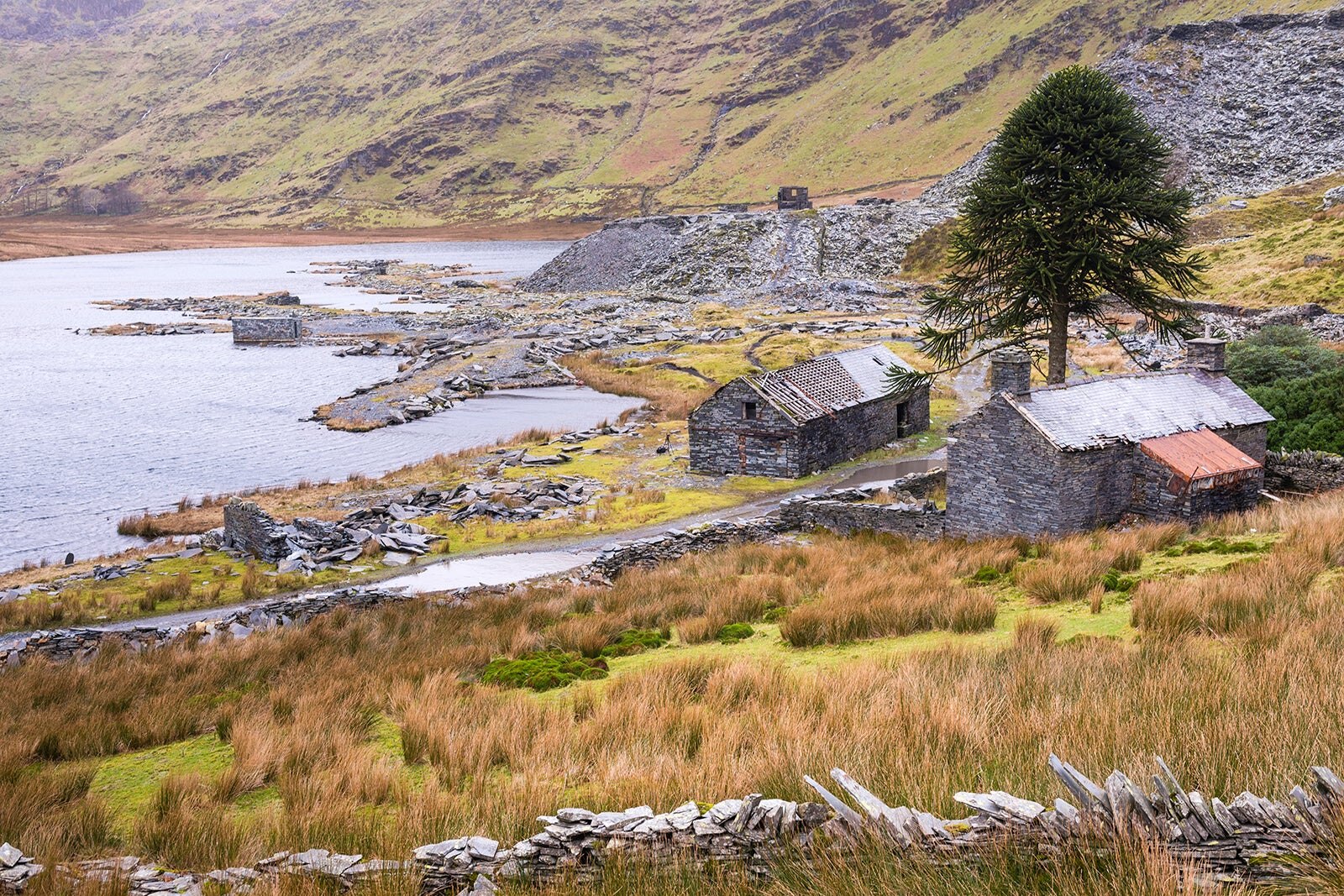 Vale of Ffestiniog - Vale of Ffestiniog