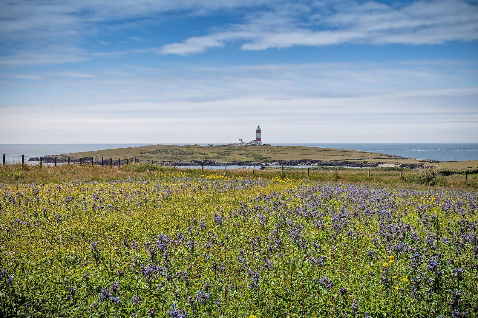 جزیره باردسی - Bardsey Island