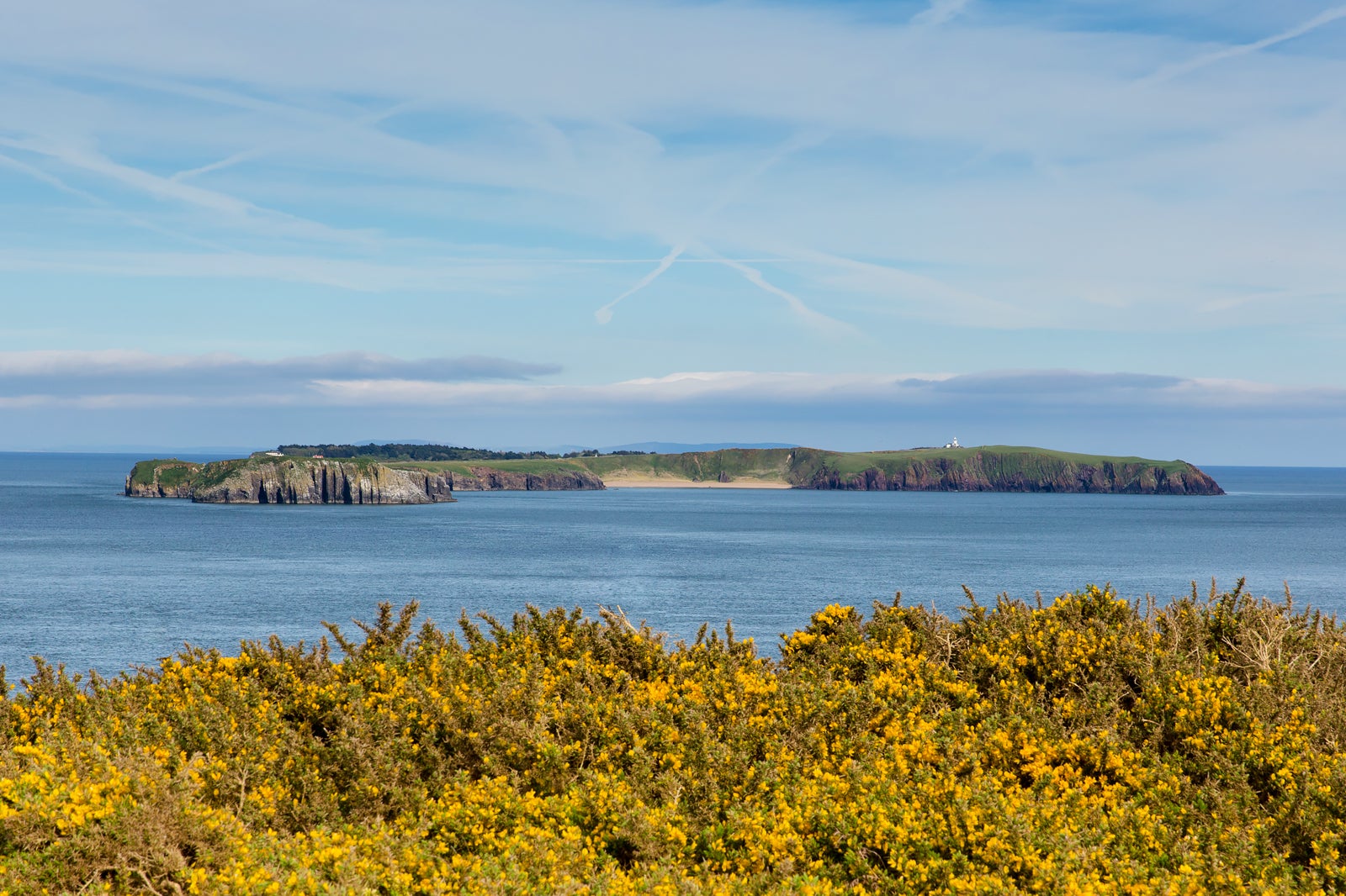 جزیره کالدی - Caldey Island