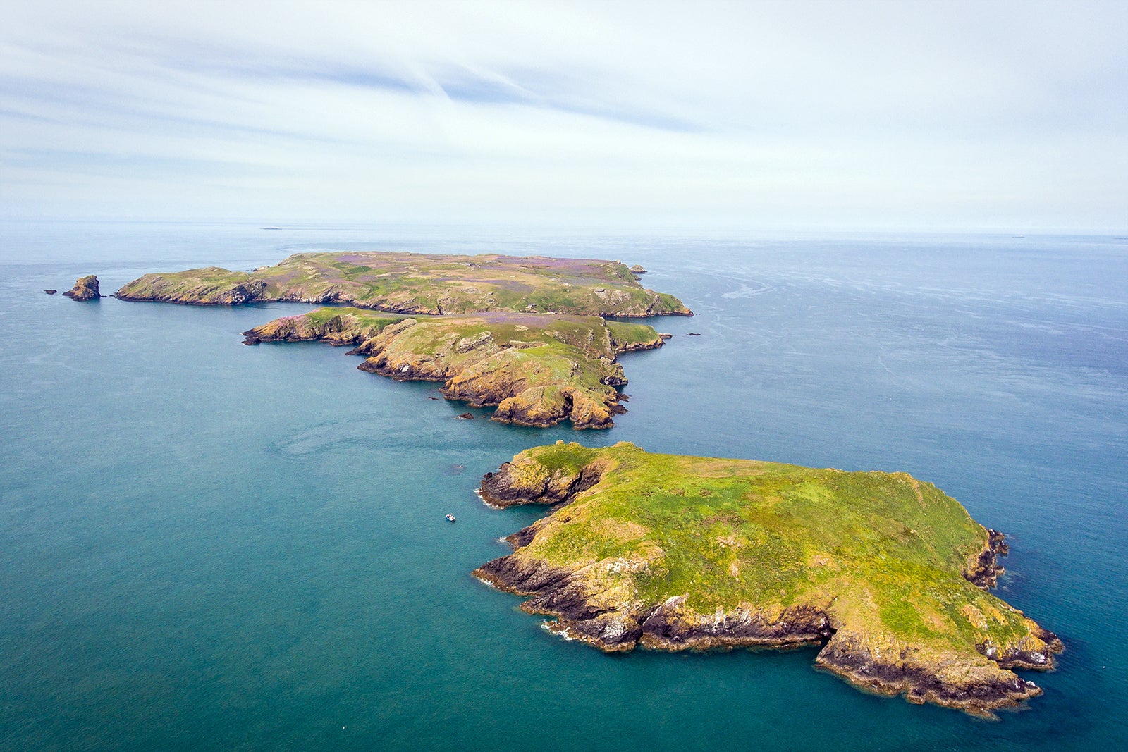 جزیره اسکومر - Skomer Island