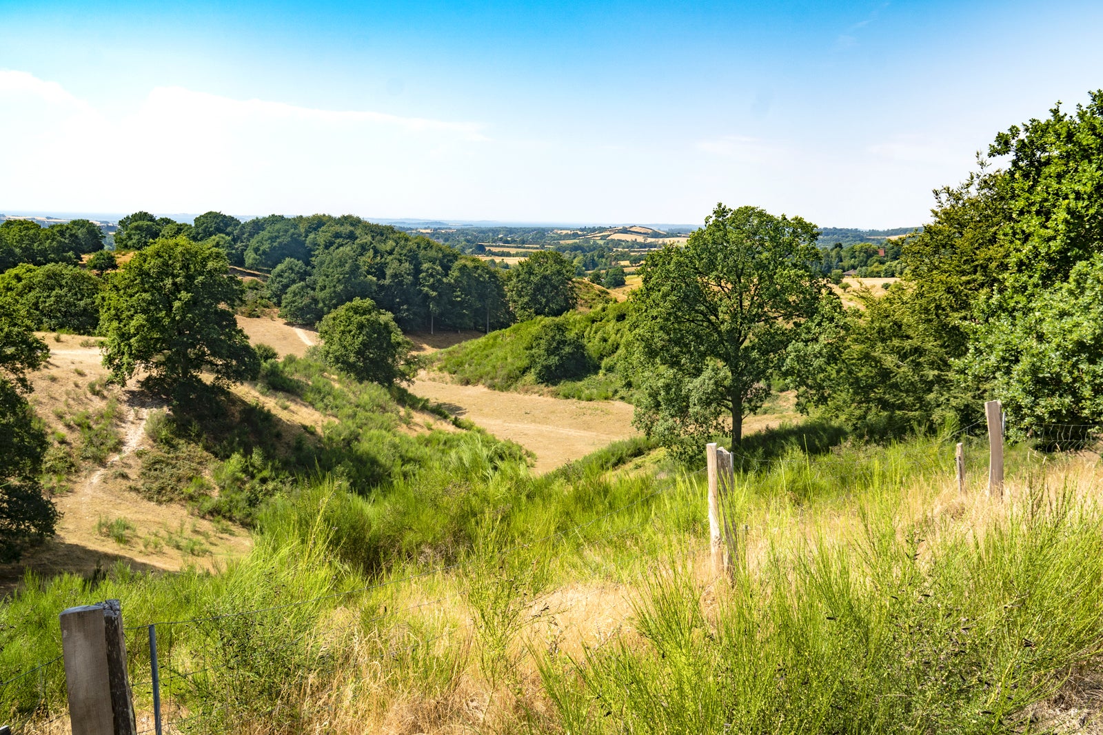 سوانینگ هیلز - Svanninge Hills