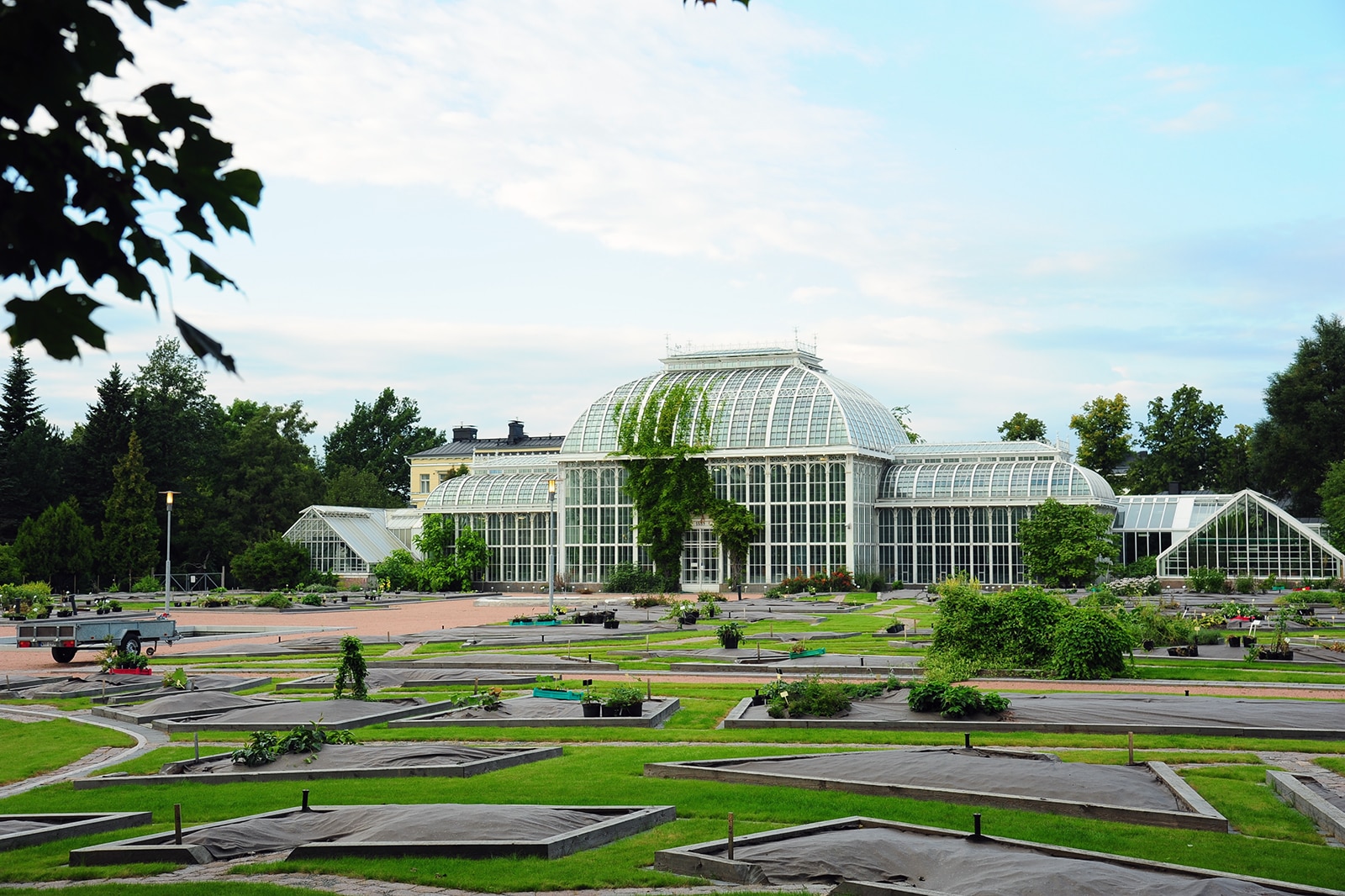 باغ گیاه شناسی کایزانیمی - Kaisaniemi Botanic Garden